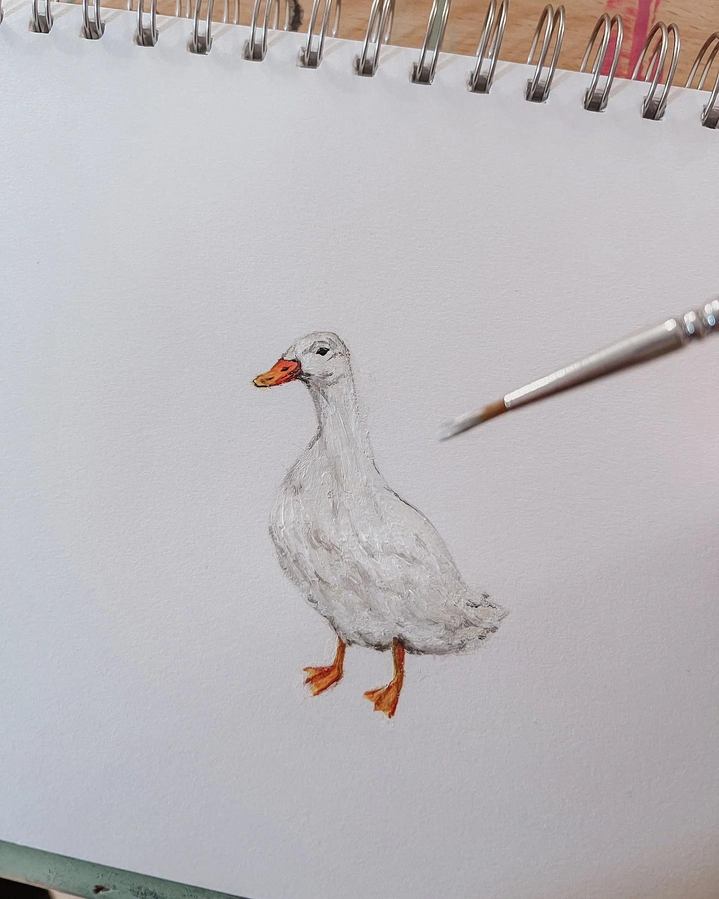 My latest project takes my back to my roots in two ways; farm life &amp; paint on paper 🎨🦆
My work forces me to do so much digital art these days but I knew I wanted to honour @birdie_barn &lsquo;s new countryside collection with a more traditional