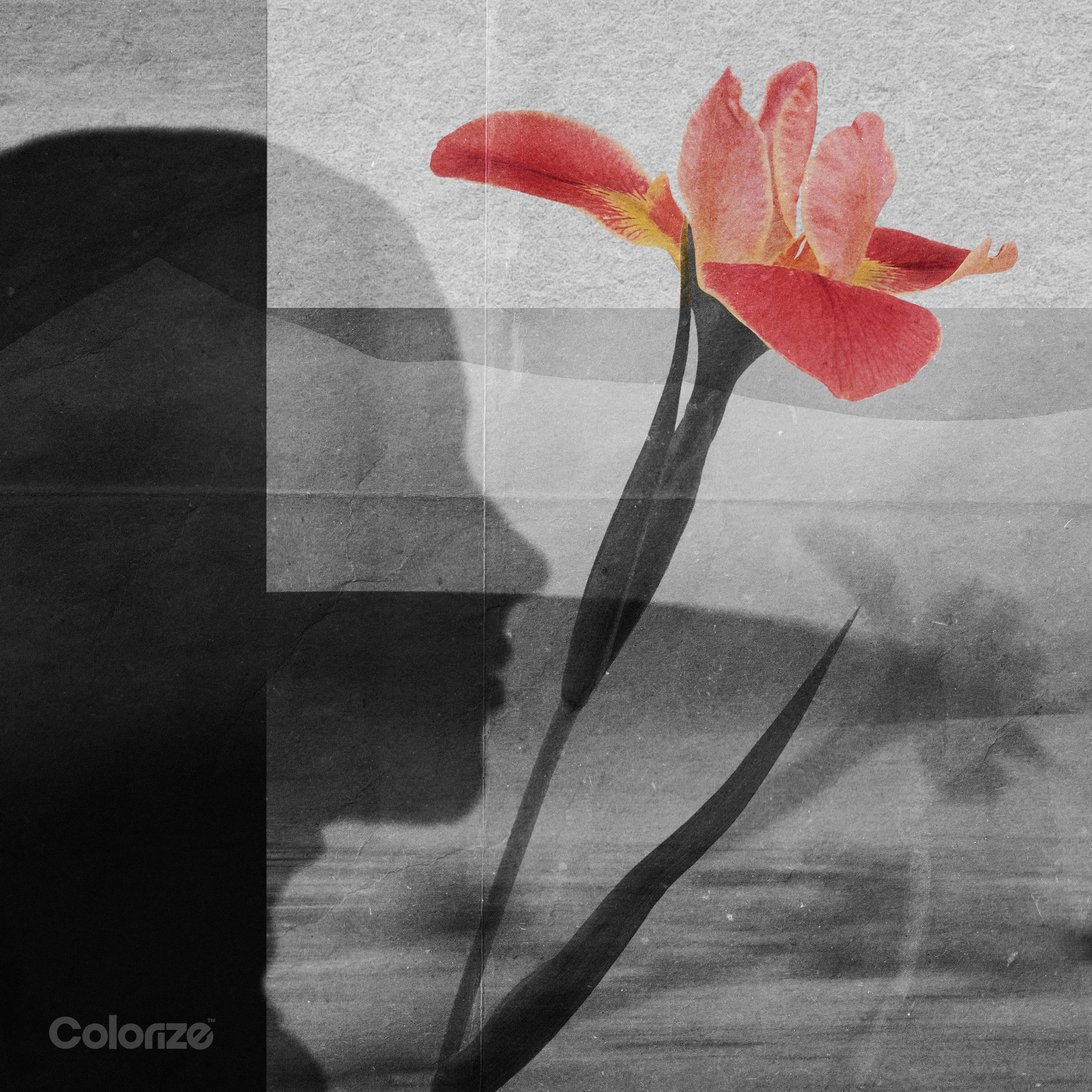 Polar Inc. &amp; Anna-Sophia Henry - Sympathy