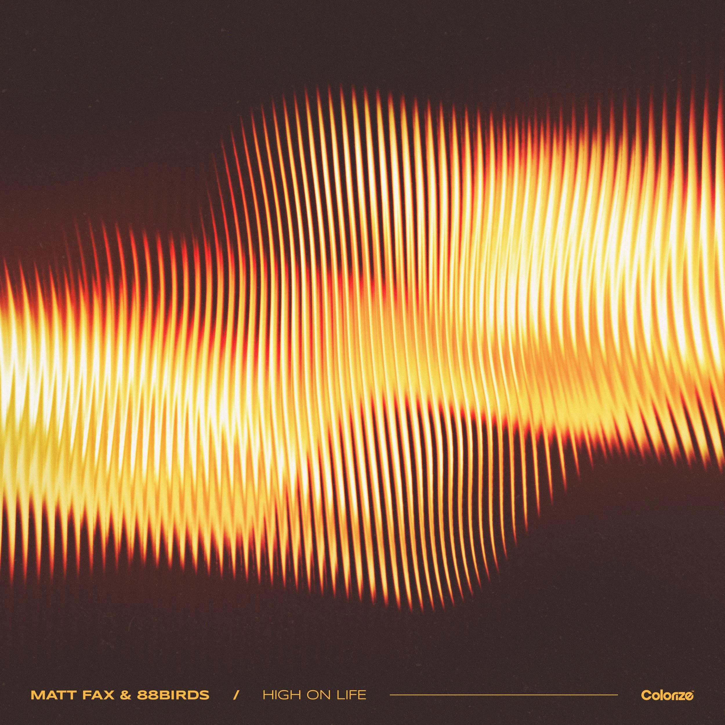 Matt Fax &amp; 88Birds - High On Life