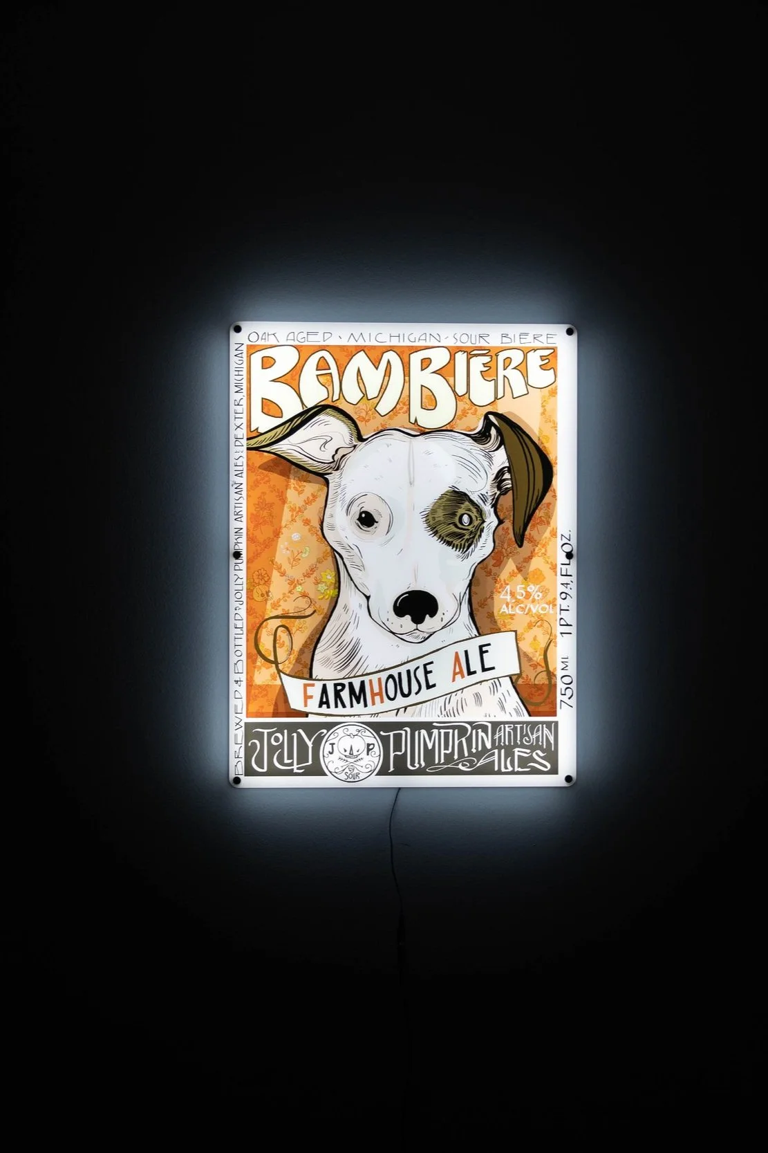 6.6.22 Jolly Pumpkin LED's-14.jpg