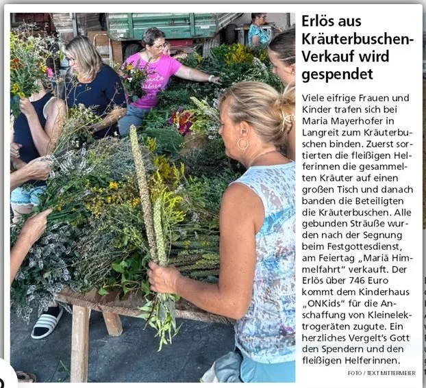 Kräuterbuschn.JPG