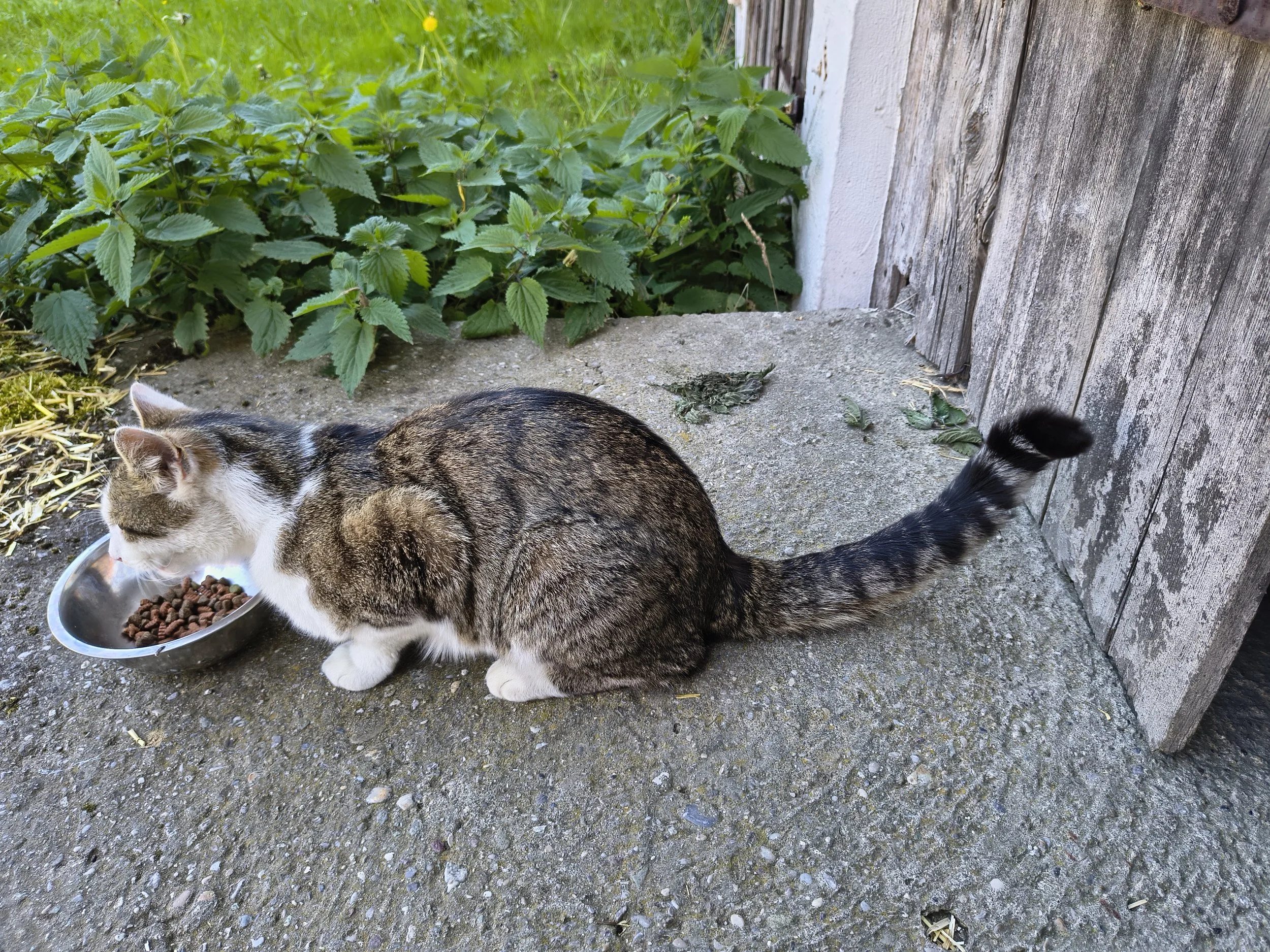 IMG_20260523_134332190_HDR.jpg