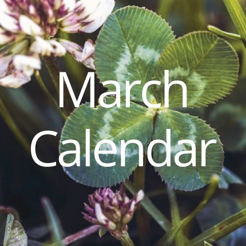 March 2026 Calendar of Events