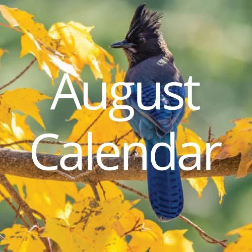 August 2026 Calendar of Events