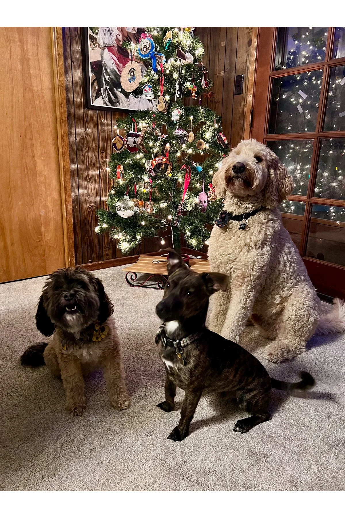 Frank Zappa, Sparks, And Other Foolishness