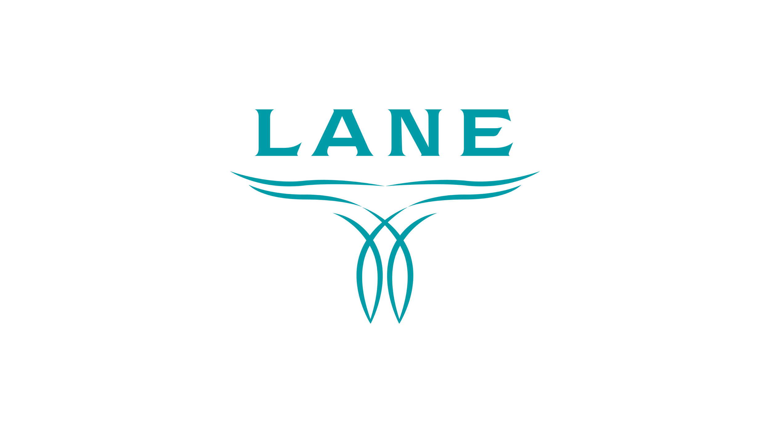 lane.png