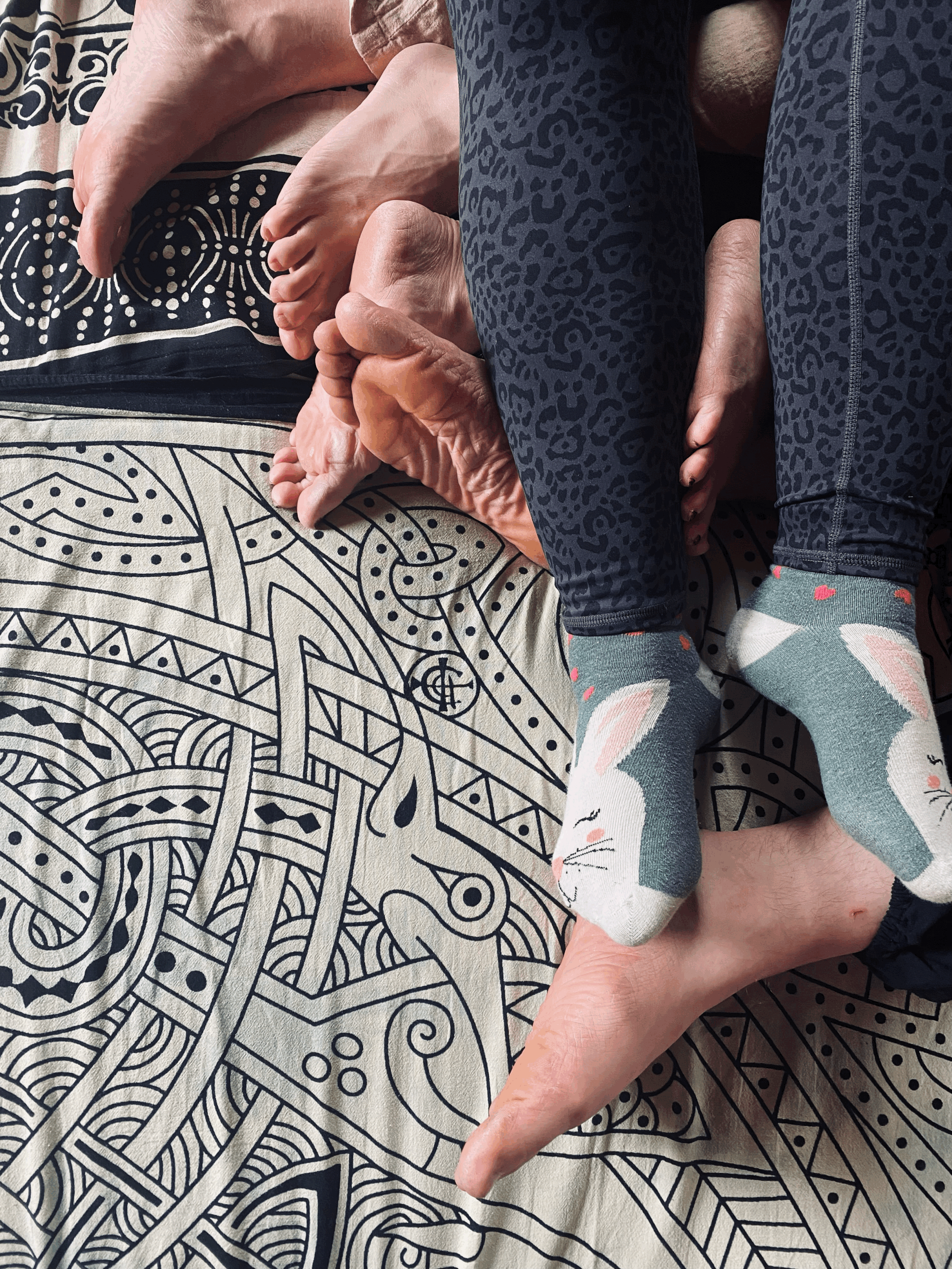 Kuschel Workshop Katzenhaft - Level 3