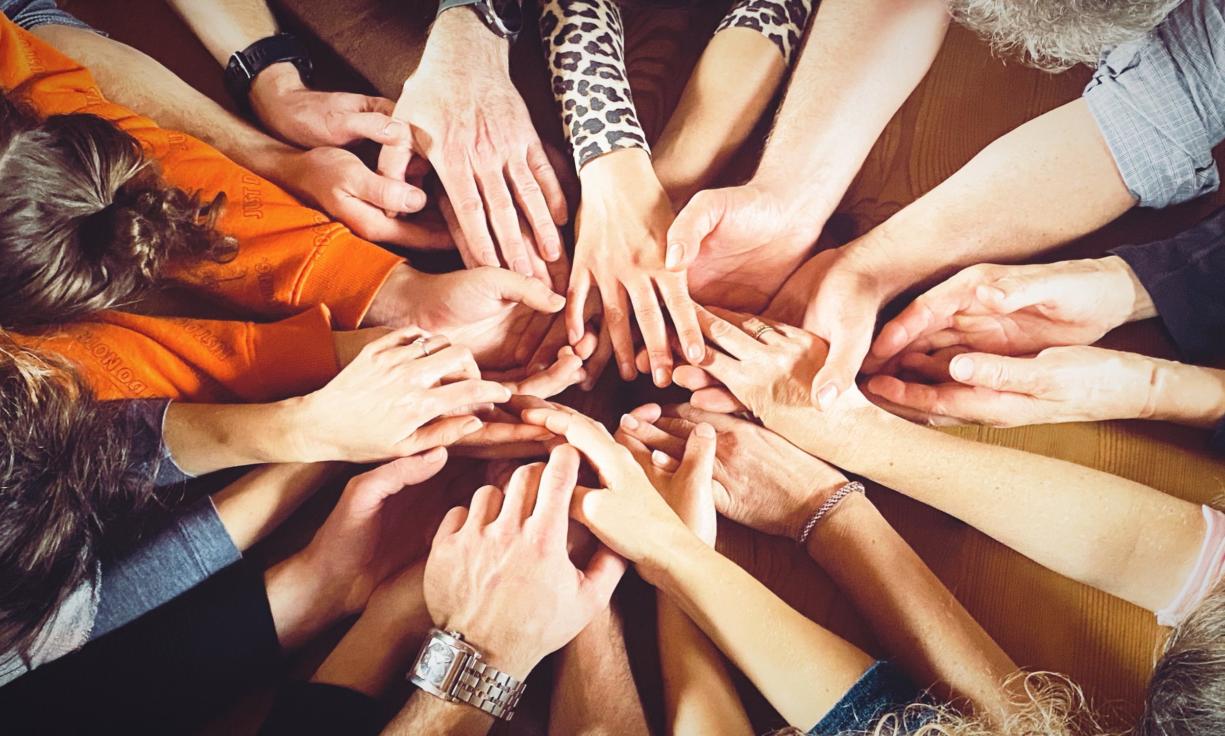 Kuschel Workshop Katzenklar - Level 2 