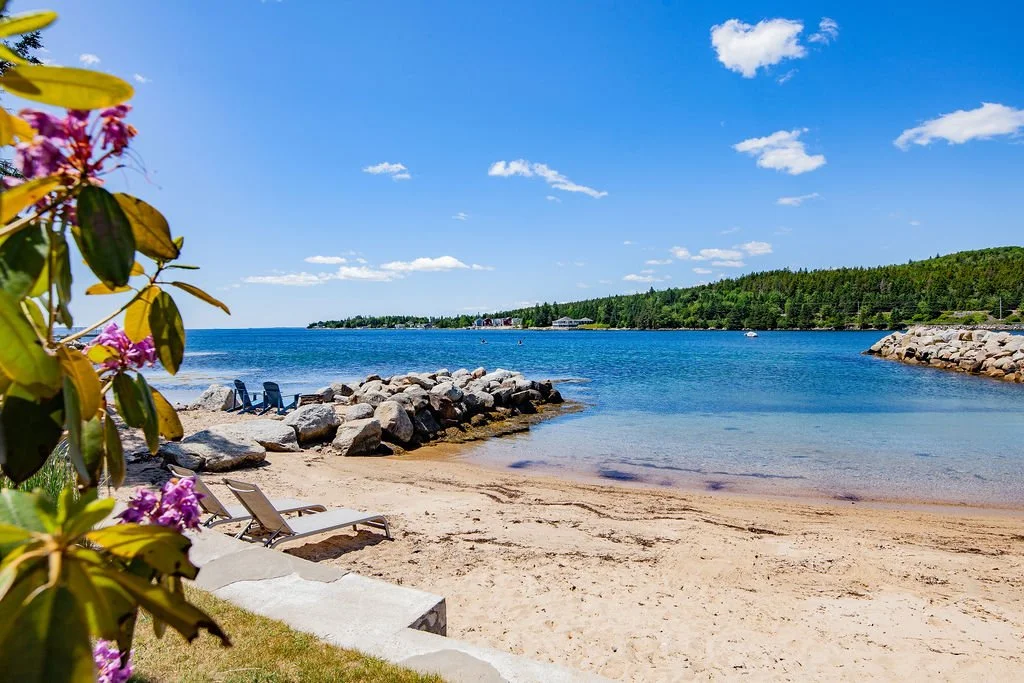 A beach scene with sand, rocks, and two lounge chairs facing the water. There is a tree with pink flowers on the left, and on the water, a small boat is visible. In the background, there are trees and a clear blue sky with some clouds.