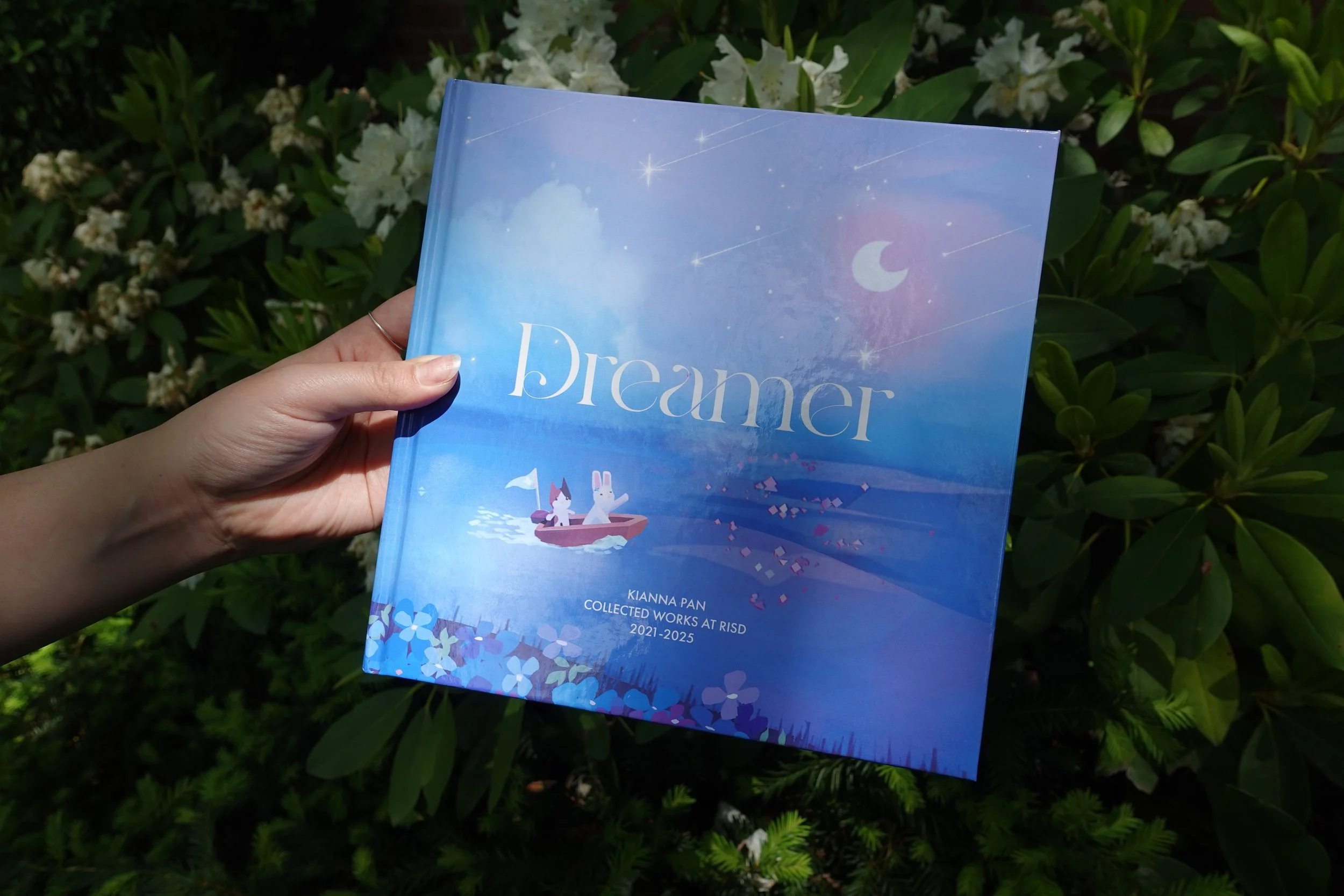 Dreamer Book