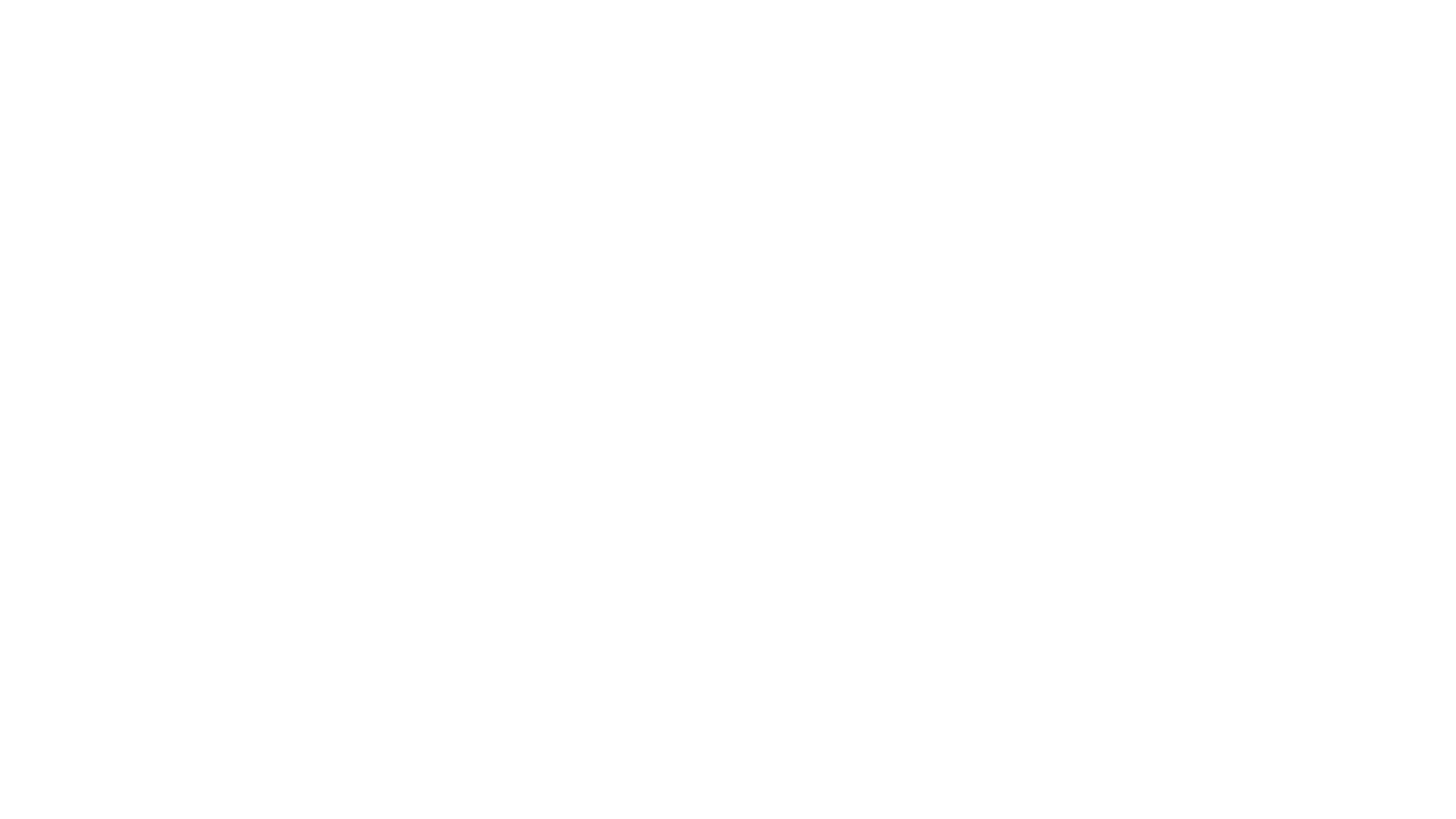 Palton Morgan Holdings1.png