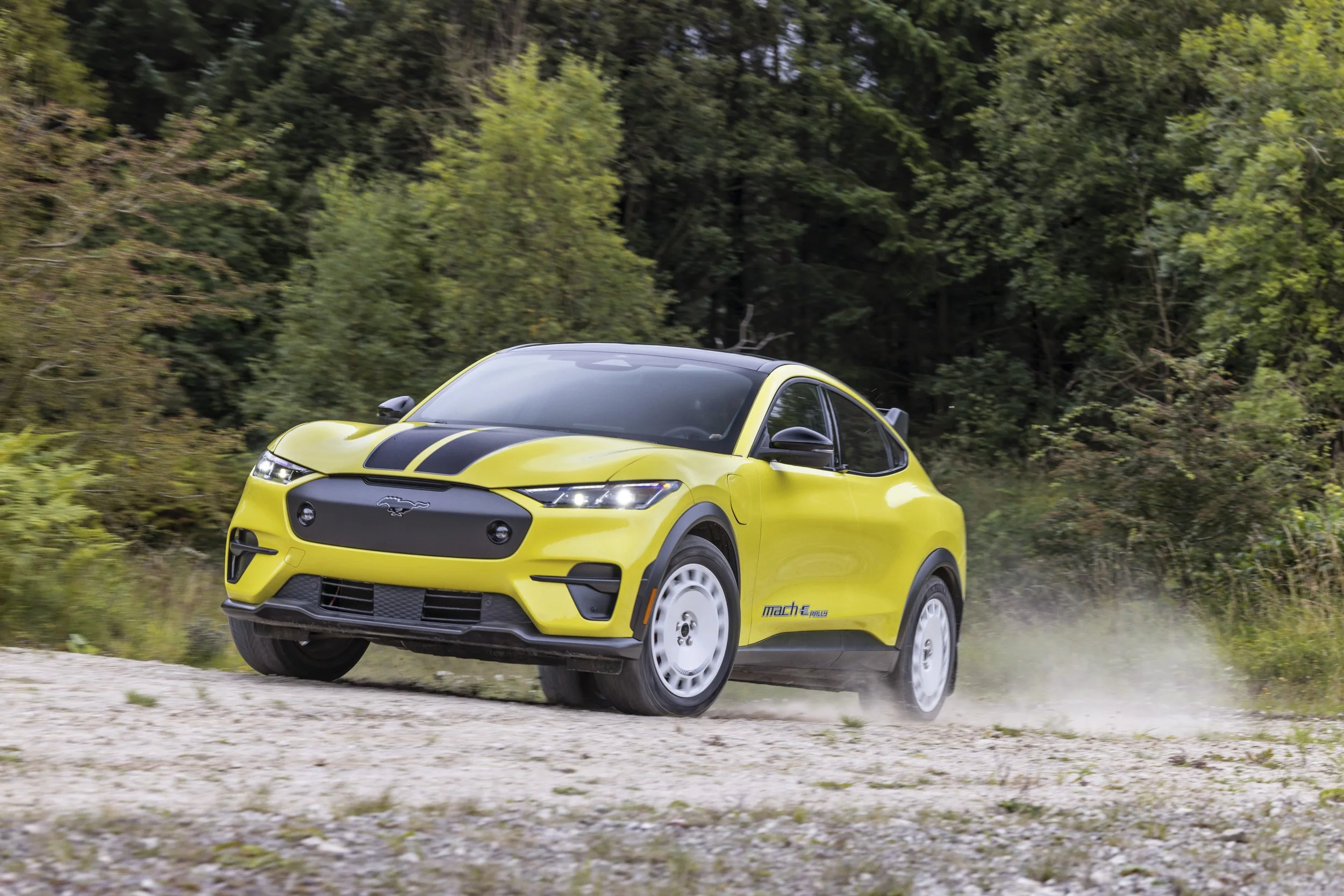 Ford Mustang Mach-E Rally Revealed: An Electrifying Off-Road Adventure