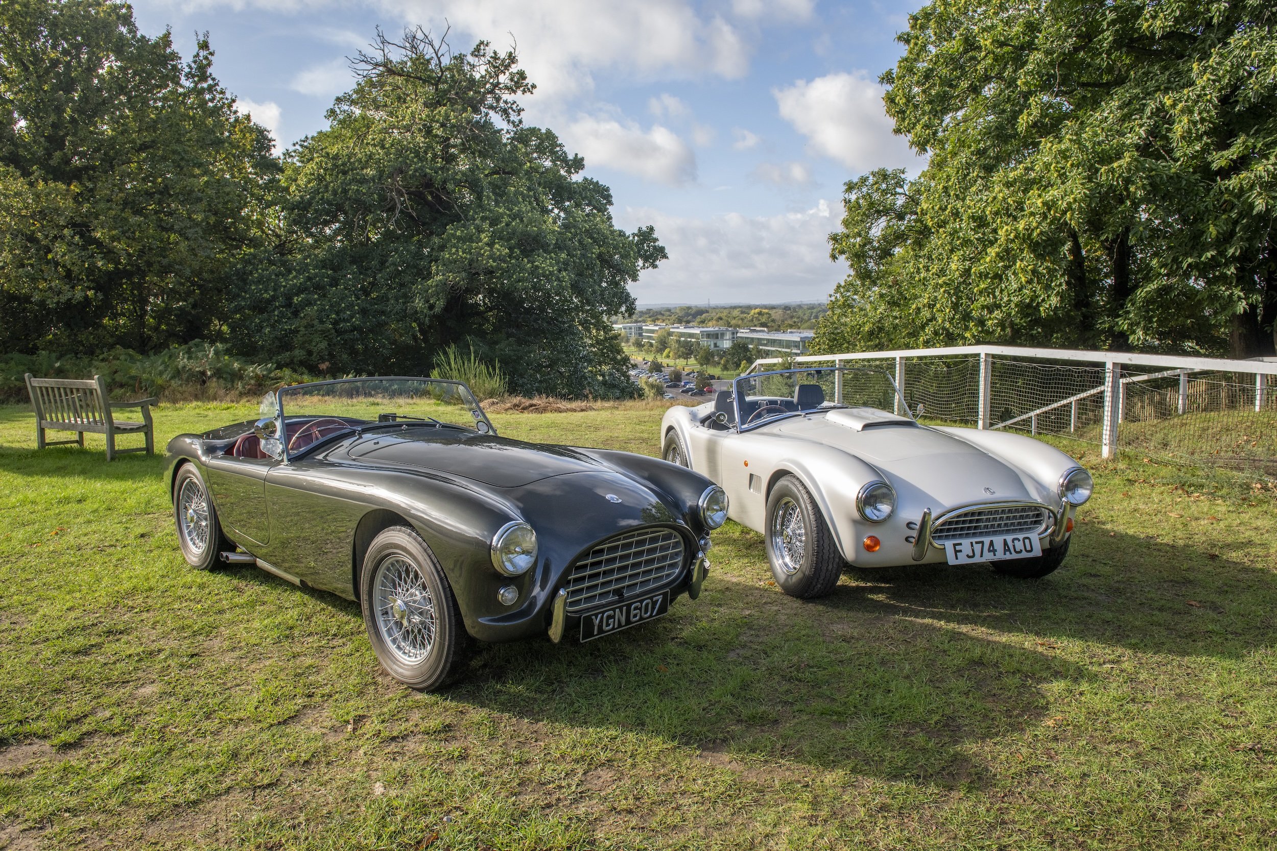 AC_Cars_-_Original_AC_Ace_Bristol_and_AC_Cobra_MK2.jpg