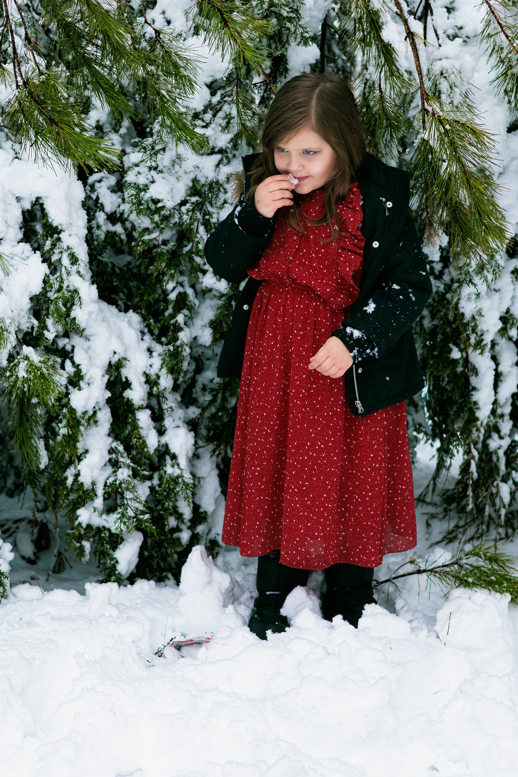 Man sitting in woods (9 of 16).jpg