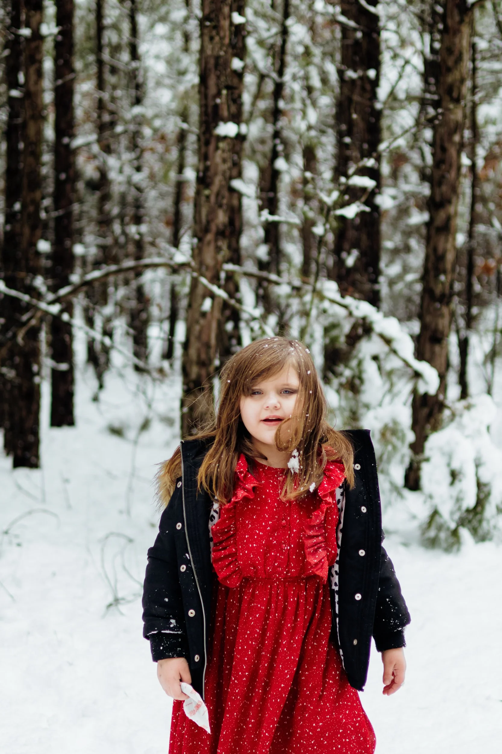 Man sitting in woods (16 of 16).jpg
