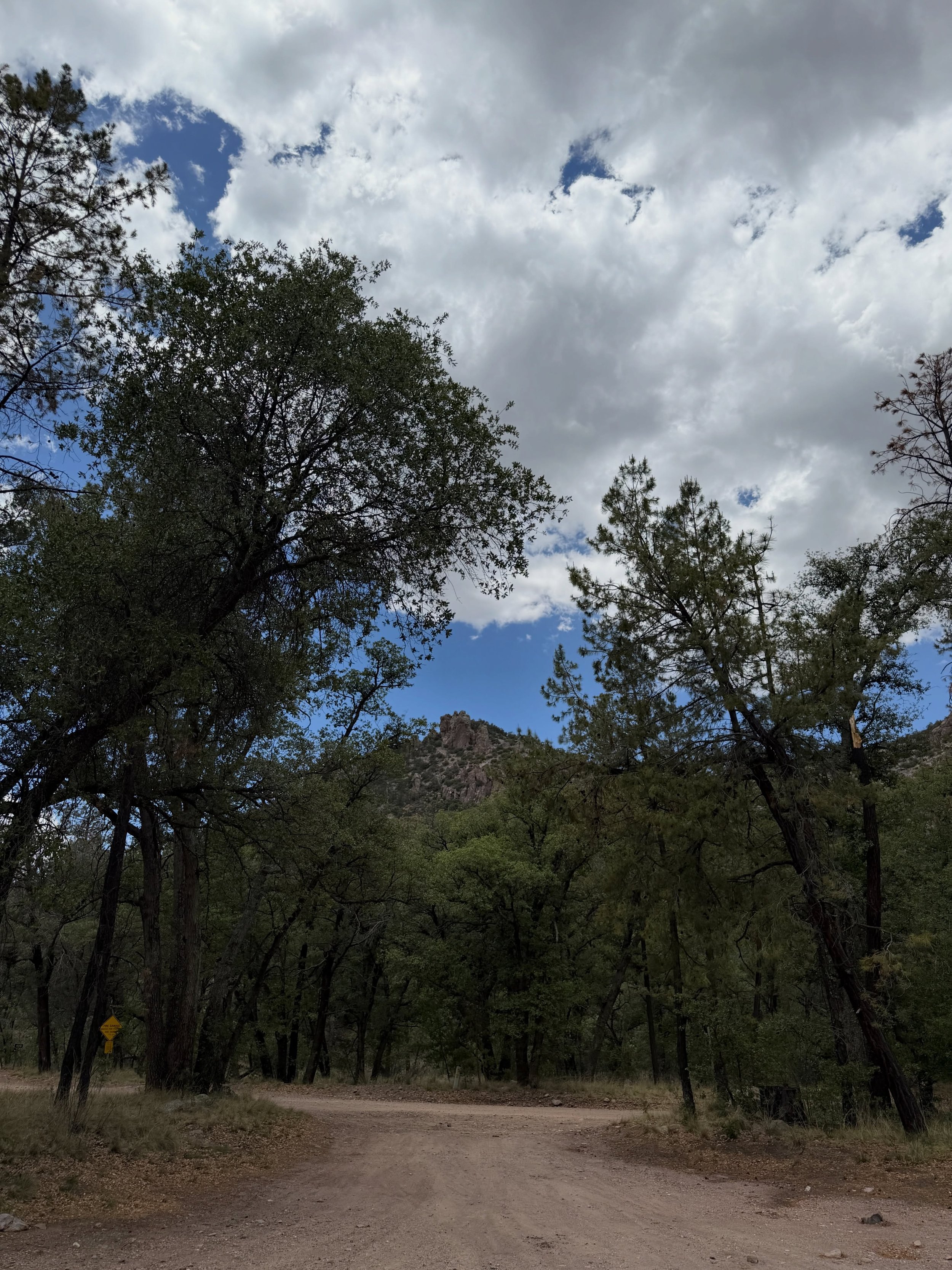 And for the lady, perhaps a picnic in the mountains. #chiricahuanationalmonument #chiricahuamountains #willcox #willcoxaz