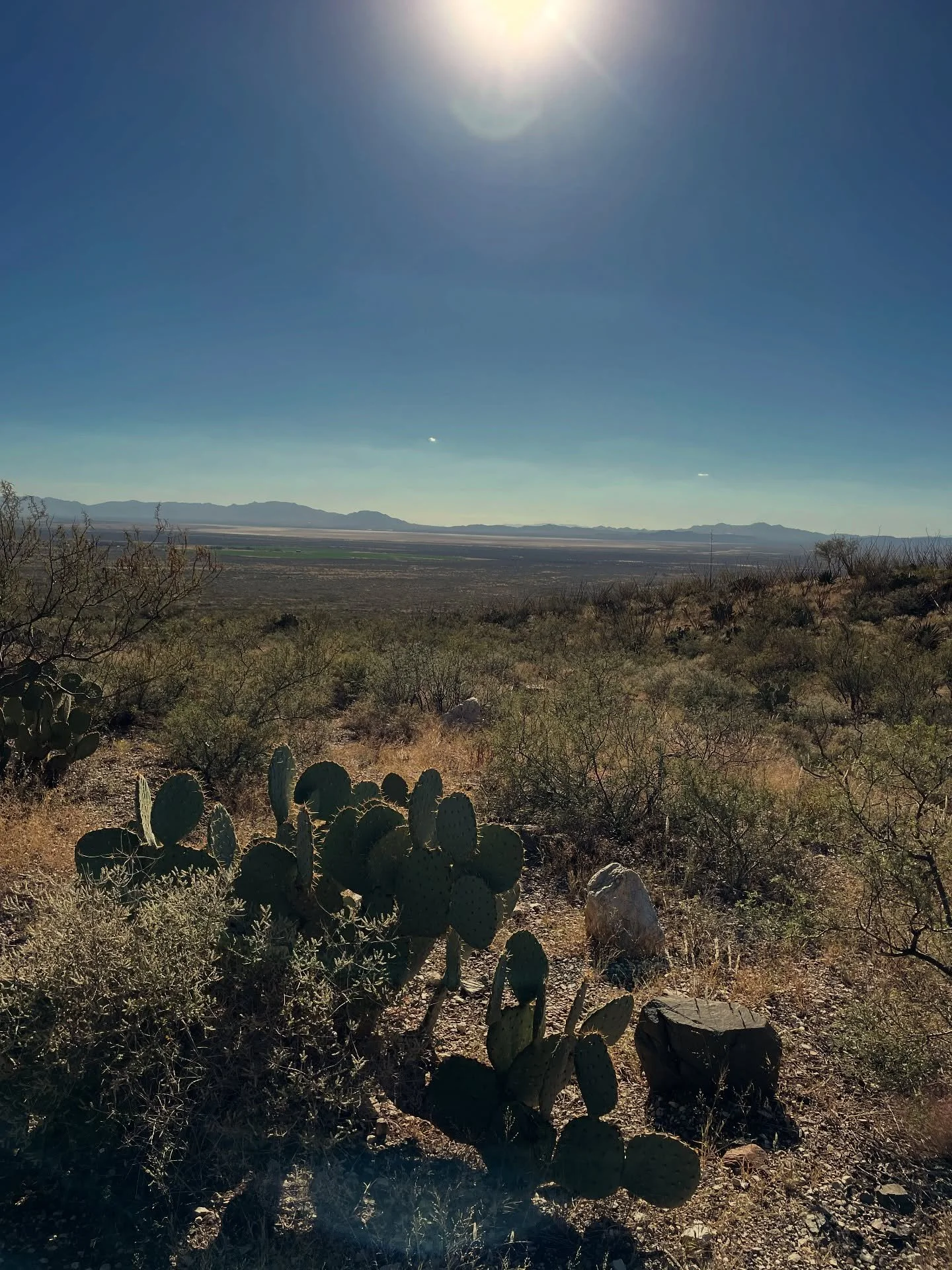 Views like this are one of our favorite things about Willcox. Come enjoy the weather, wine, outdoors, and the views. #willcox #willcoxwinecountry #explorecochisecounty #cochisecounty