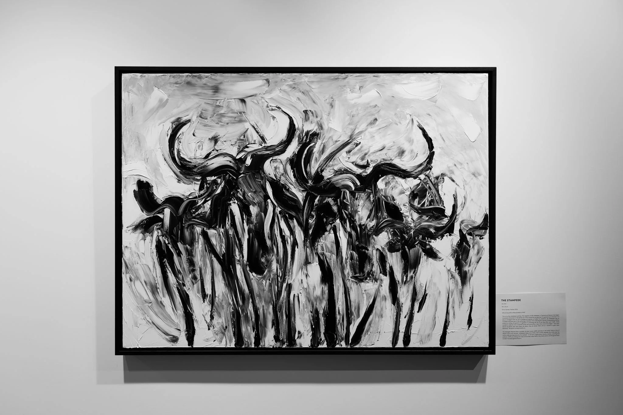 WhatsApp Image 2025-07-16 at 15.49.16 (1).jpeg