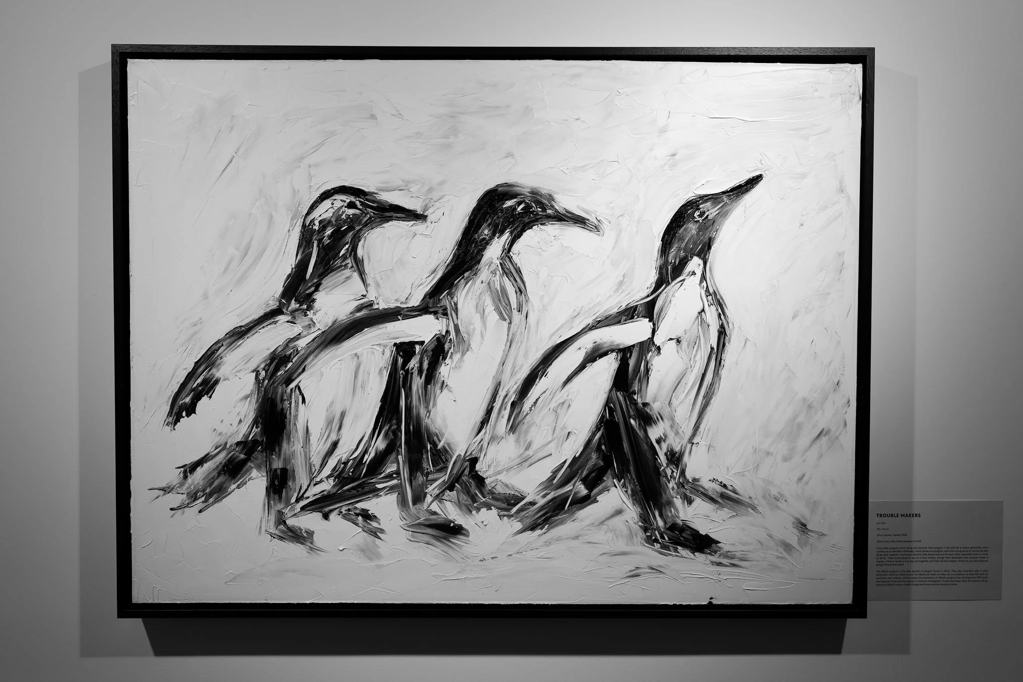 WhatsApp Image 2025-07-16 at 15.49.17.jpeg