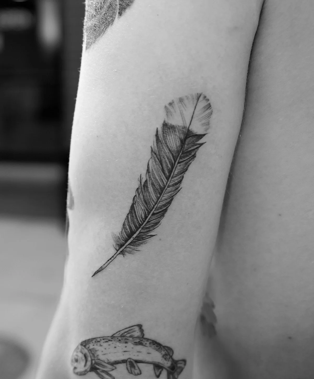 🪶 Last available slots in Aspen. Dm to enquire.