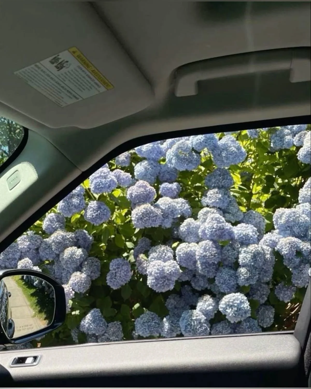 Wilmington, NC Guide