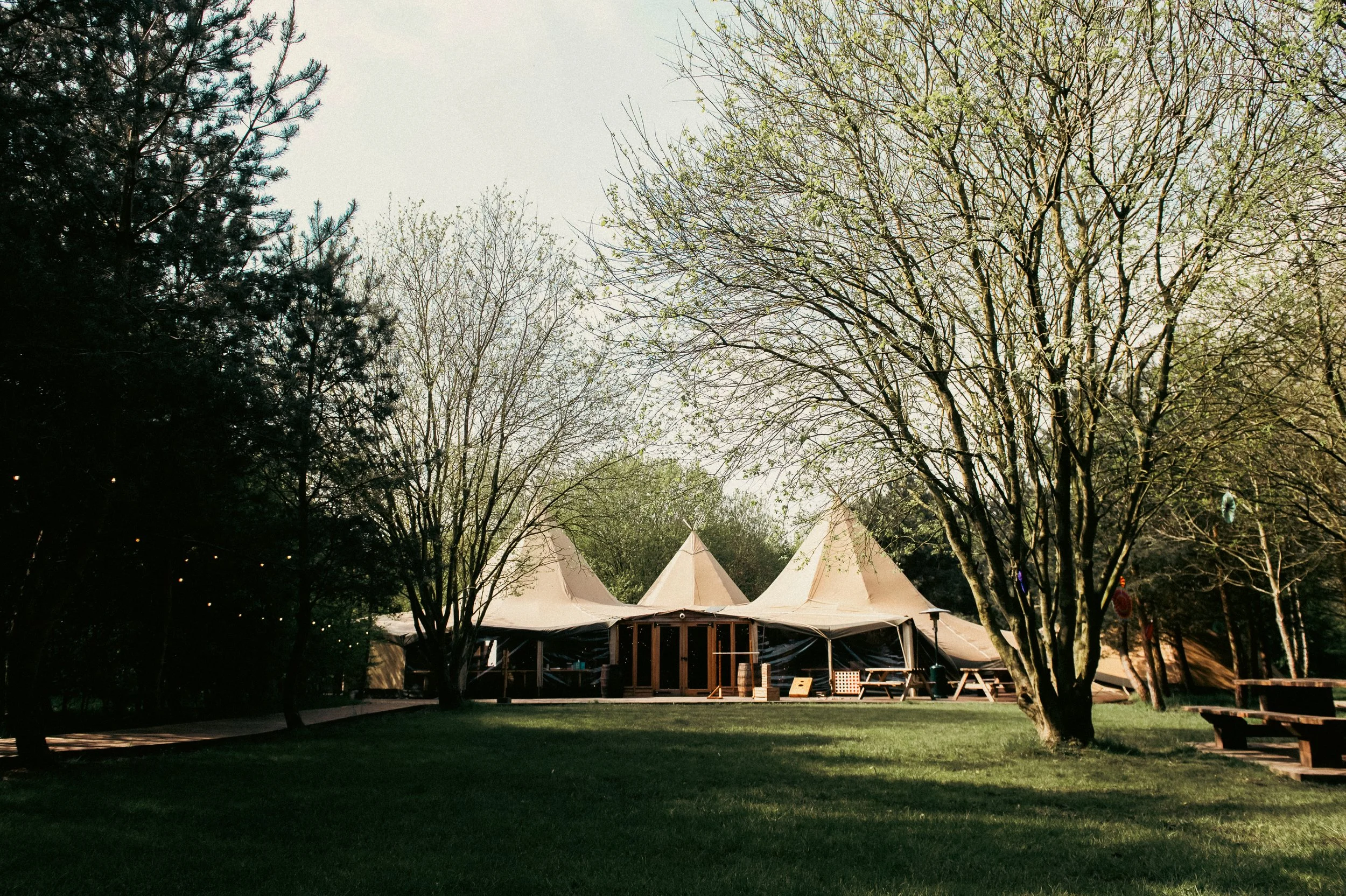 A large white canvas tent with pointed peaks set up in a park-like area surrounded by trees, some with budding leaves. There are picnic tables and benches in front of the tent, and string lights hanging among the trees on the left side.