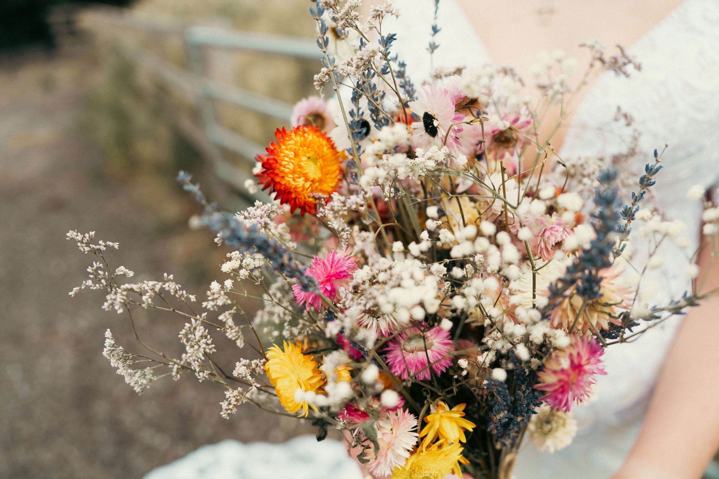 Maria & Connor - The Wedding_-559.jpg