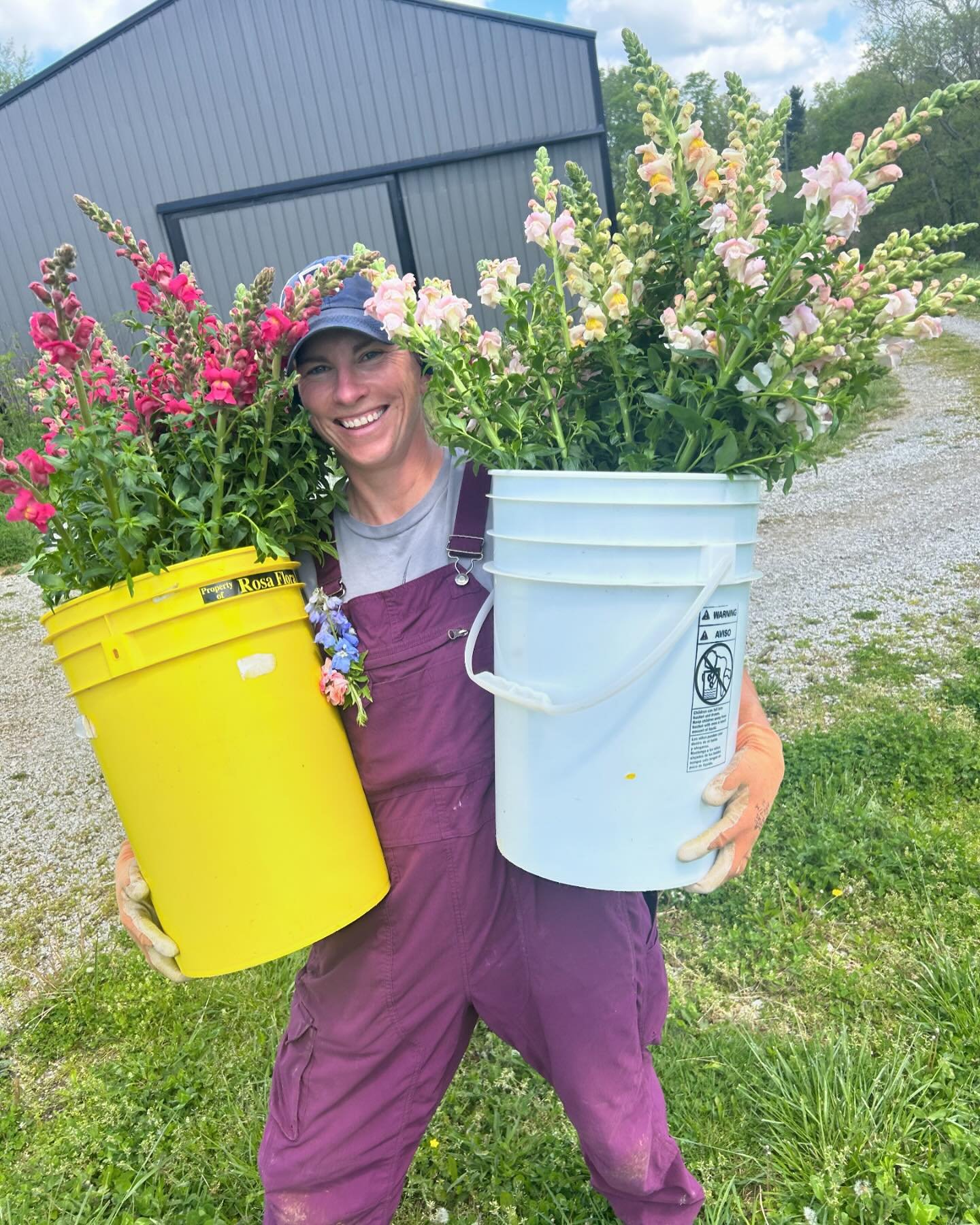 Really grateful for my helpers this week while Ern and the dirt sass Queen are on vacation. Thanks to @the_windfall_farm , @wakeupshineyourheart and @dumpster_raccoon. See yall at Lexington and Douglass loop farmers markets on Saturday. 
*****
#grate