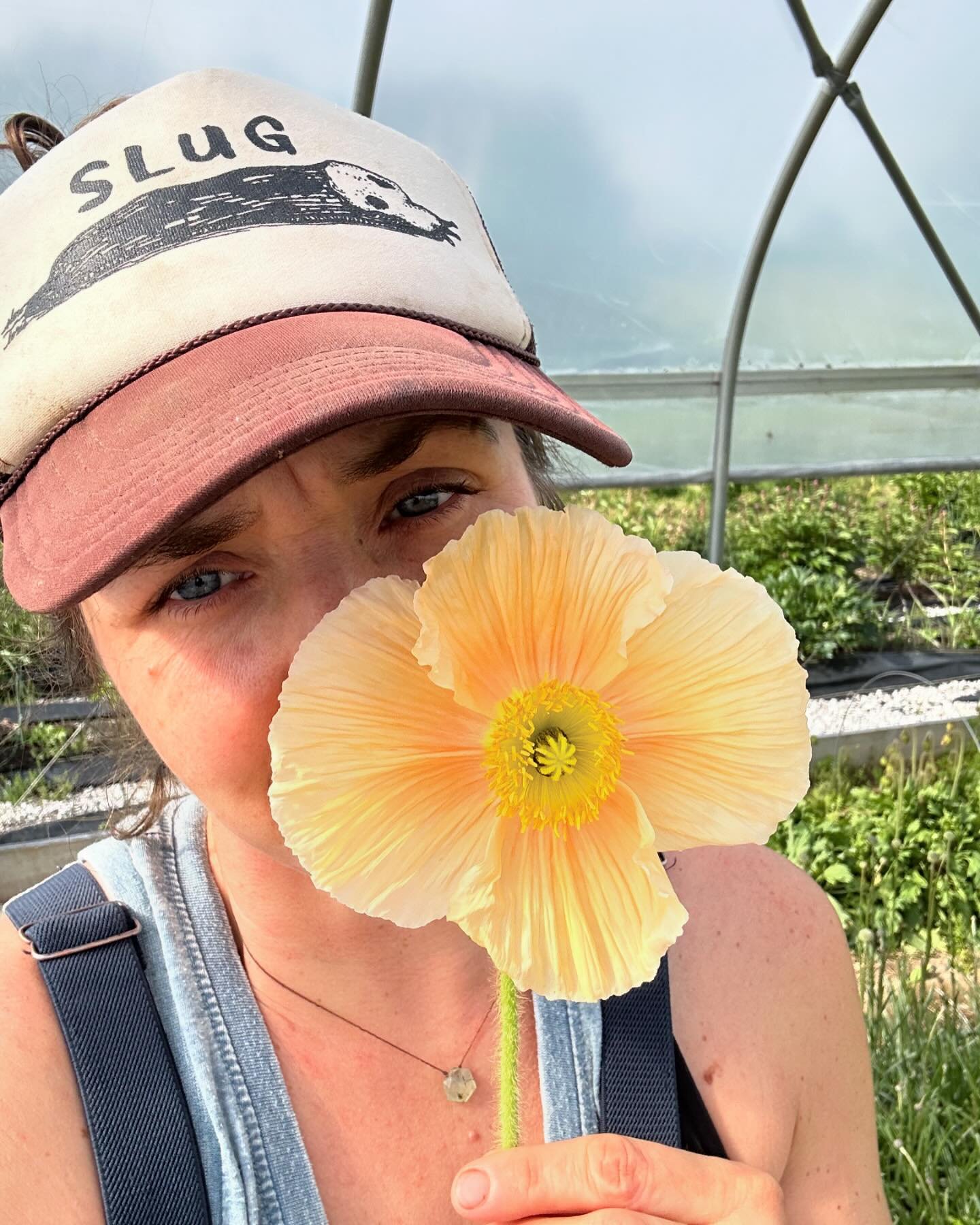 Love note to the Icelandic poppies who are still very busy making beautiful blooms for us. Thank you for busting ass, poppies! You are stunning. Already looking forward to seeing you again next spring. 
Catch our blooms Saturday at the downtown Lexin