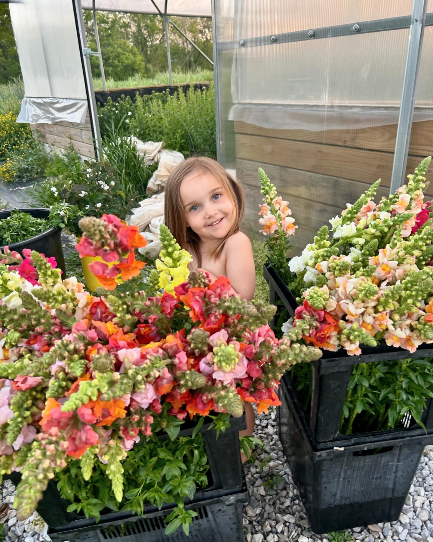 The dirt child and Ern are back from vacation and the usual chaos has resumed. Cheers to farm kids, family and flowers! 
*****
#farmkids #flowers #snapdragon #spring #knowyourfarmer #grownnotflown #harvest