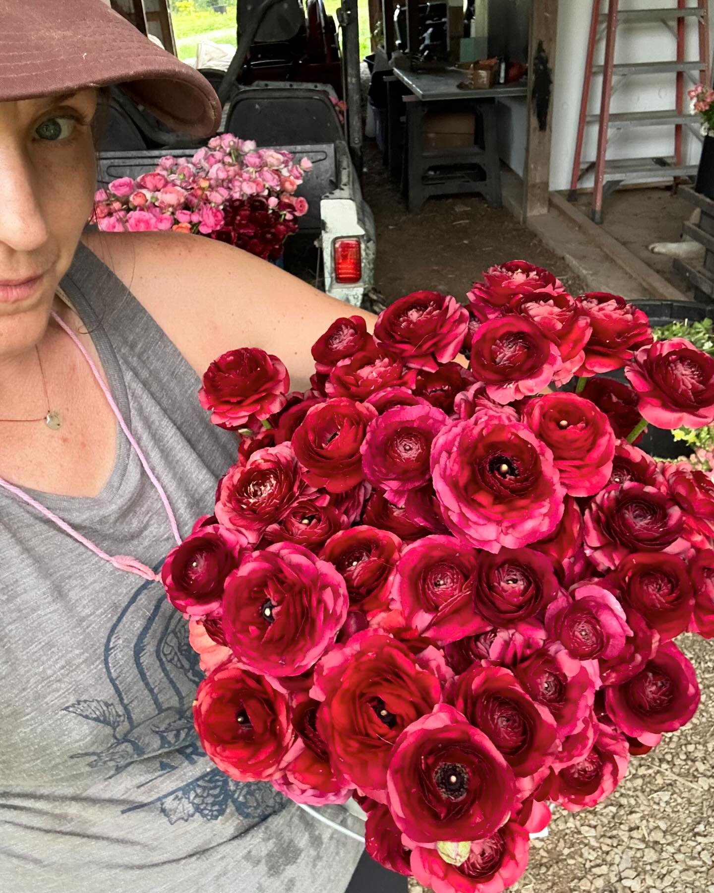 It&rsquo;s go time, friends! Deluxe Mother&rsquo;s Day bouquets are listed for preorder on our website for farmers market pick-up only. Additional premade bouquets and custom options will be available in person  but only til the people sell us out. S