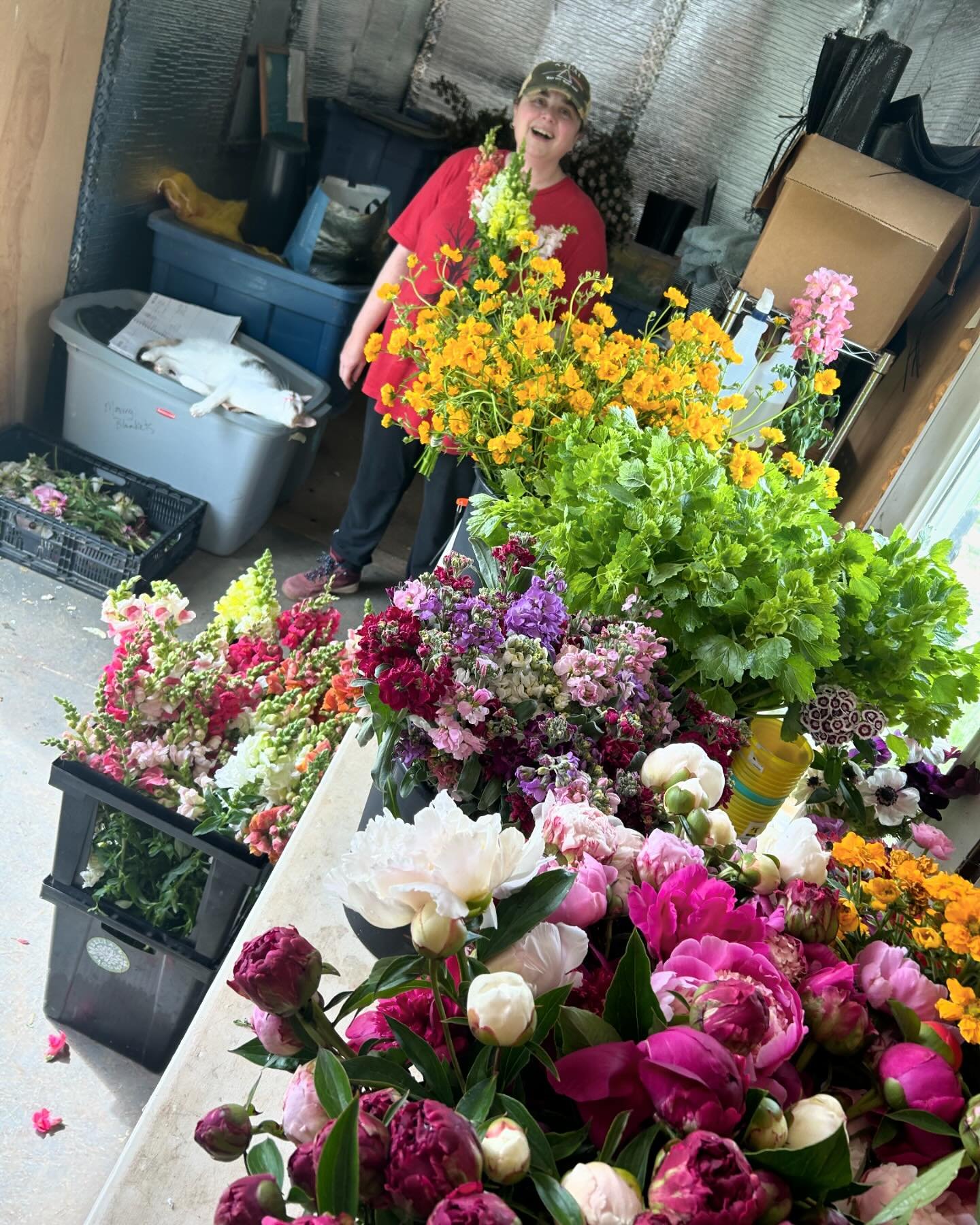 Yall we been cranking out the bouquets! Just a couple hours  left to get preorders in for market pick up of DeLuxe Mother&rsquo;s Day bouquets. We&rsquo;ll see you at Lexington and Douglass Loop farmers markets on Saturday and Southland drive again o