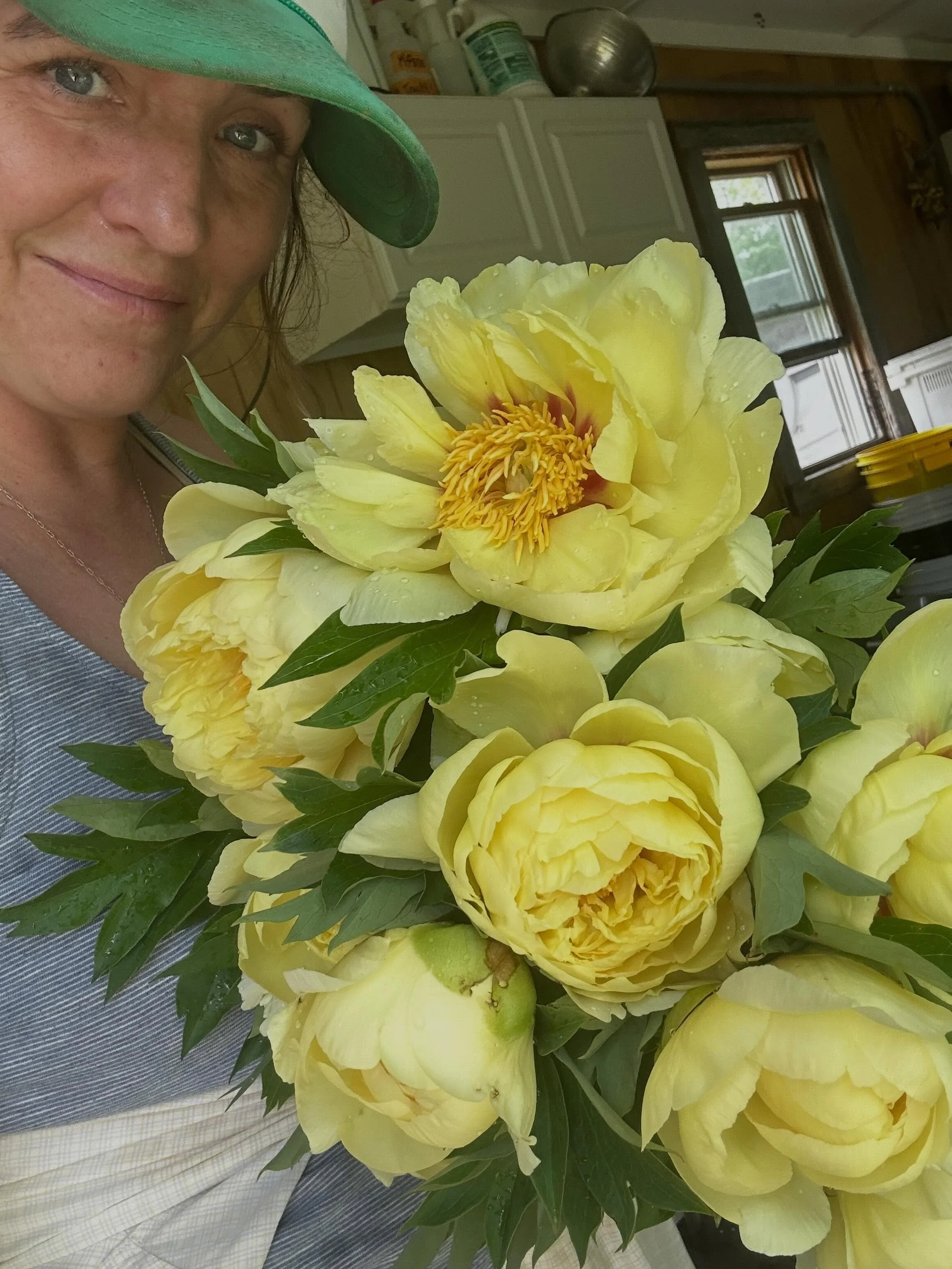 Planted three years ago, these buttery yellow beauties are putting out some gorgeous blooms and are now my official favorite&hellip;.. this week. Maybe a few stems will make it to market this weekend. Maybe they&rsquo;ll stay home with me! 🌝⭐️💛
Sta