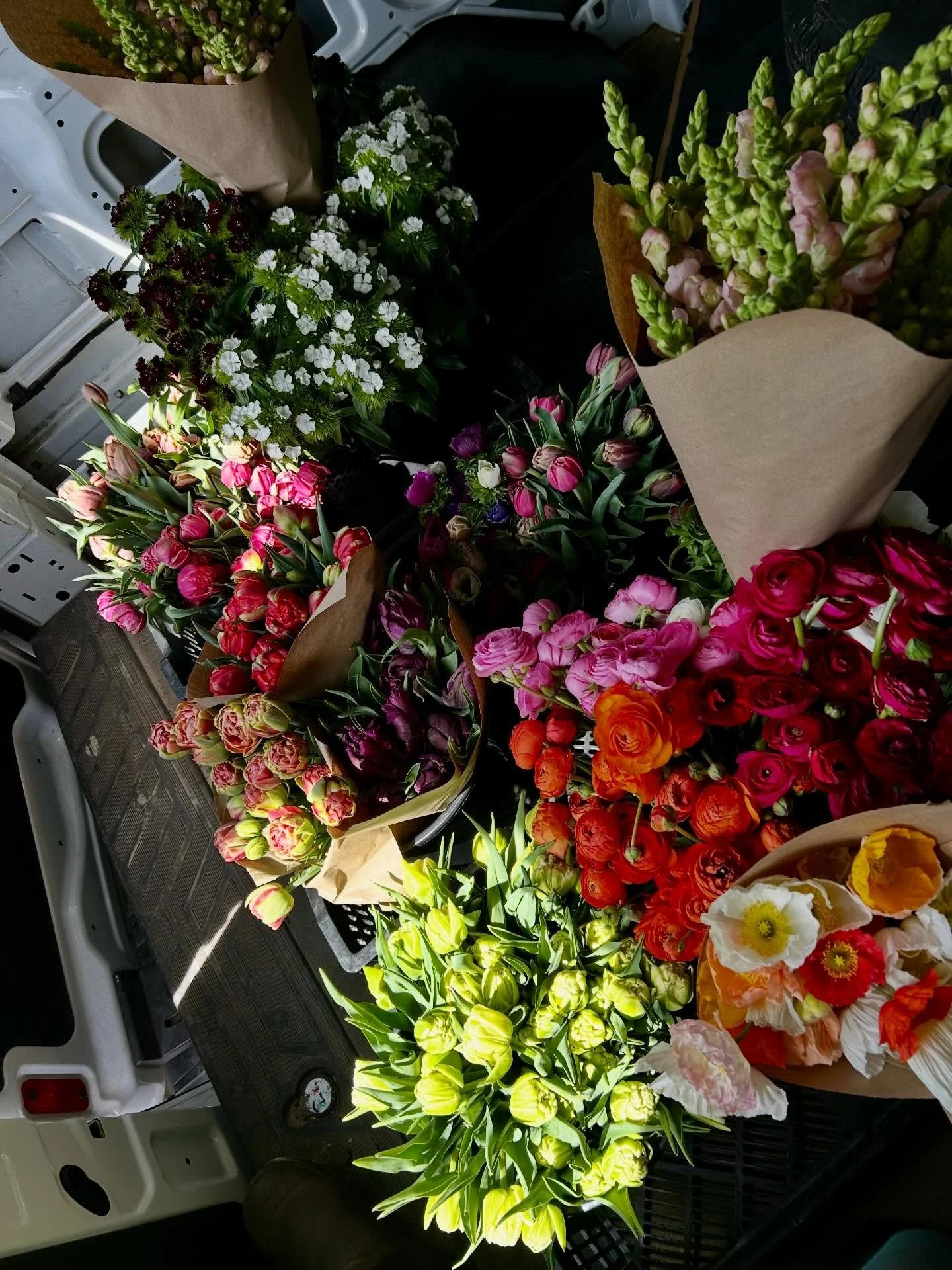 Wednesday wholesale orders on their way off the farm. Maggie delivers the good stuff! 

You a designer? Want access to our weekly fresh cut, locally grown, pesticide free wholesale floral availability ? Head over to our website to sign up for access.