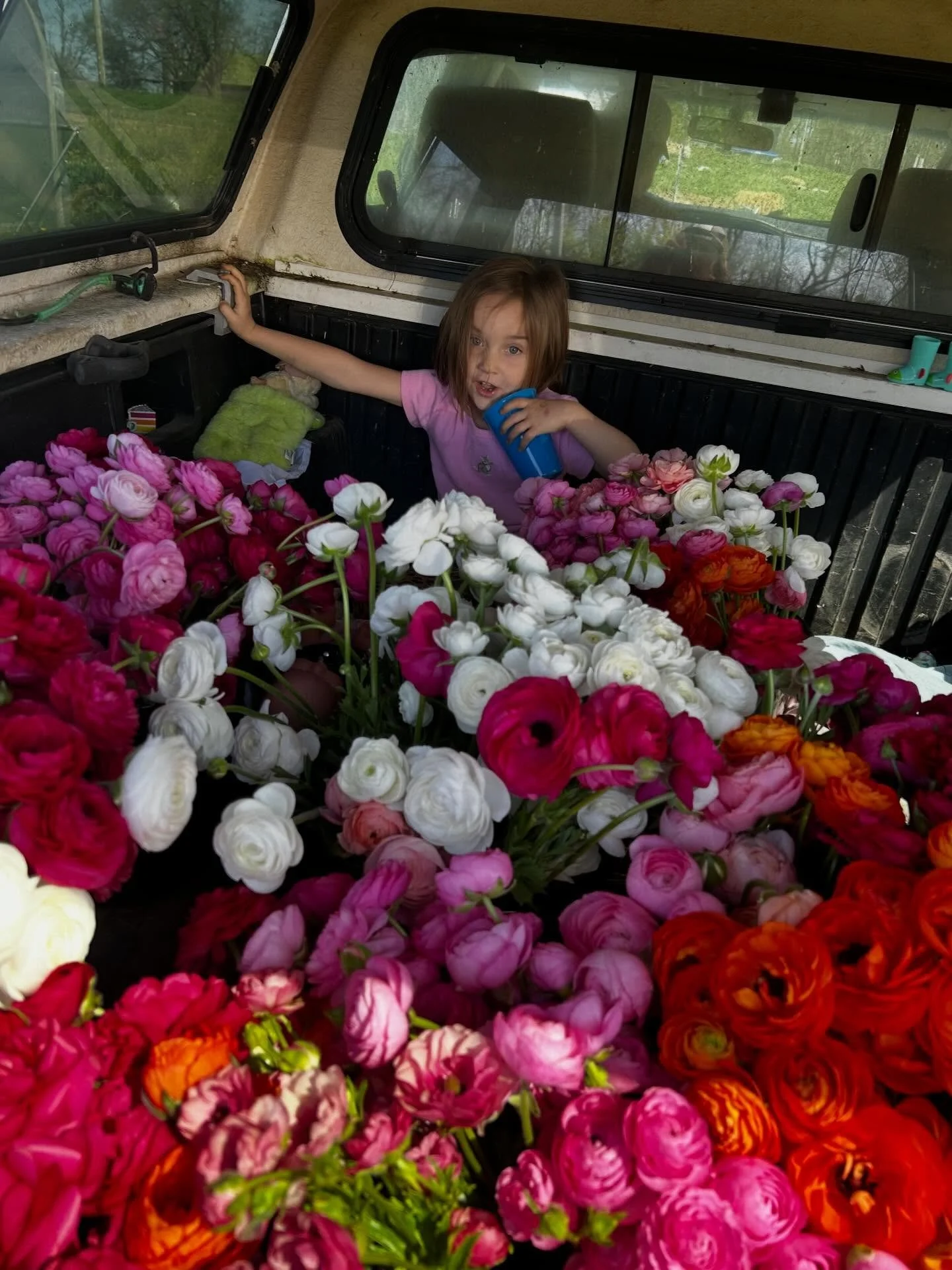 And already this season has been a wild ride. Wild because the dramatic temperature swings forced many of our flowers to bloom weeks before they typically arrive. So thank you for showing up to support us at farmers markets last weekend. Your sweet f