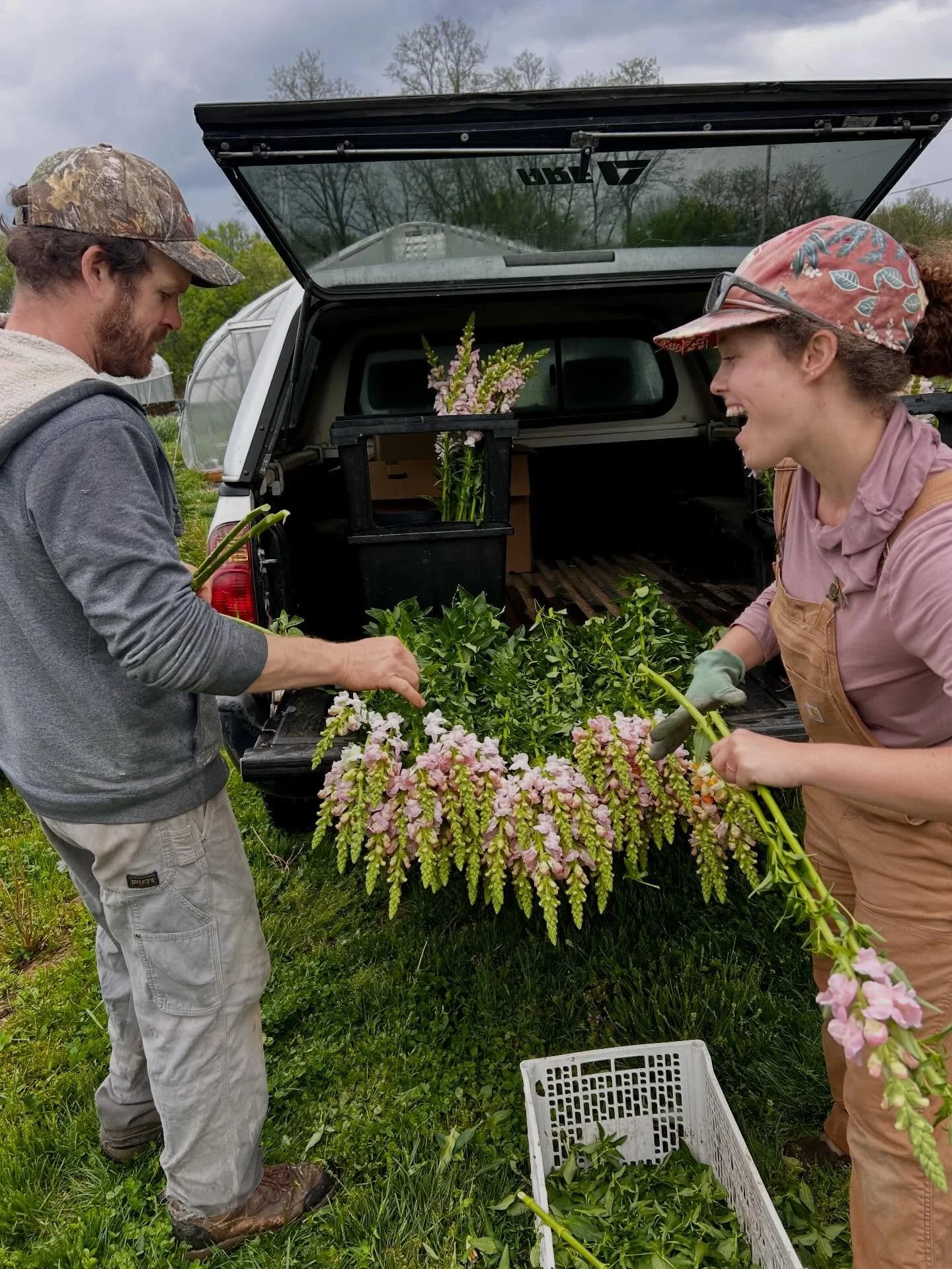 First snapdragon harvest of the season and Dani is back on the farm just in time for it! 

How can you get your hands on some flowers this week? Welp thanks for asking! Details below&hellip;

***Market details
*Saturday- Lexington Farmers Market, Tan