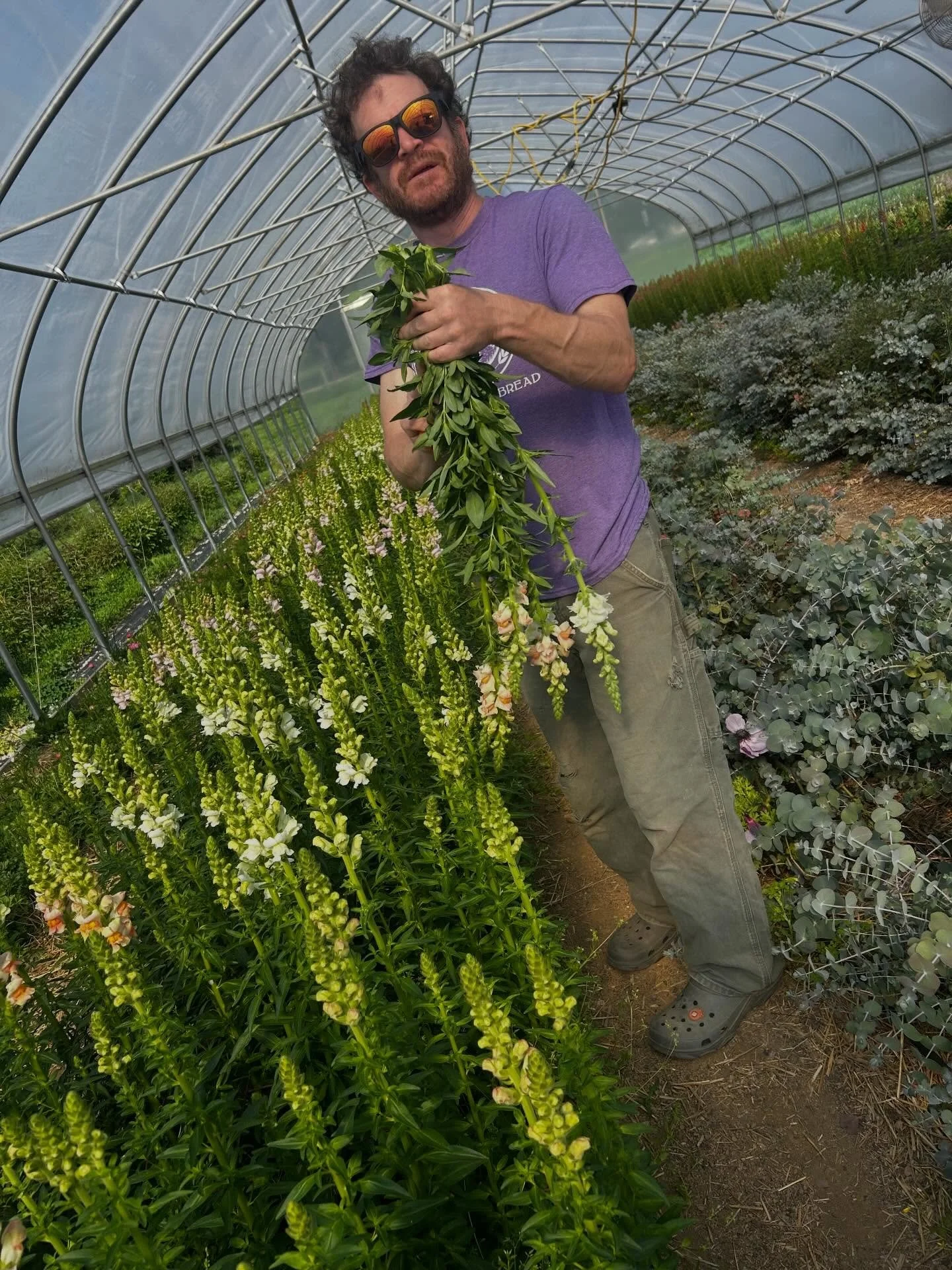 Tuesday things that I barely had time to capture. 1. Ern looks cool, obviously. 2. Dirt child helps water things in the  germination area 3. Literal truck loads of ranunculus! 

***Market details
*Saturday- Lexington Farmers Market, Tandy Park, 8-2
*