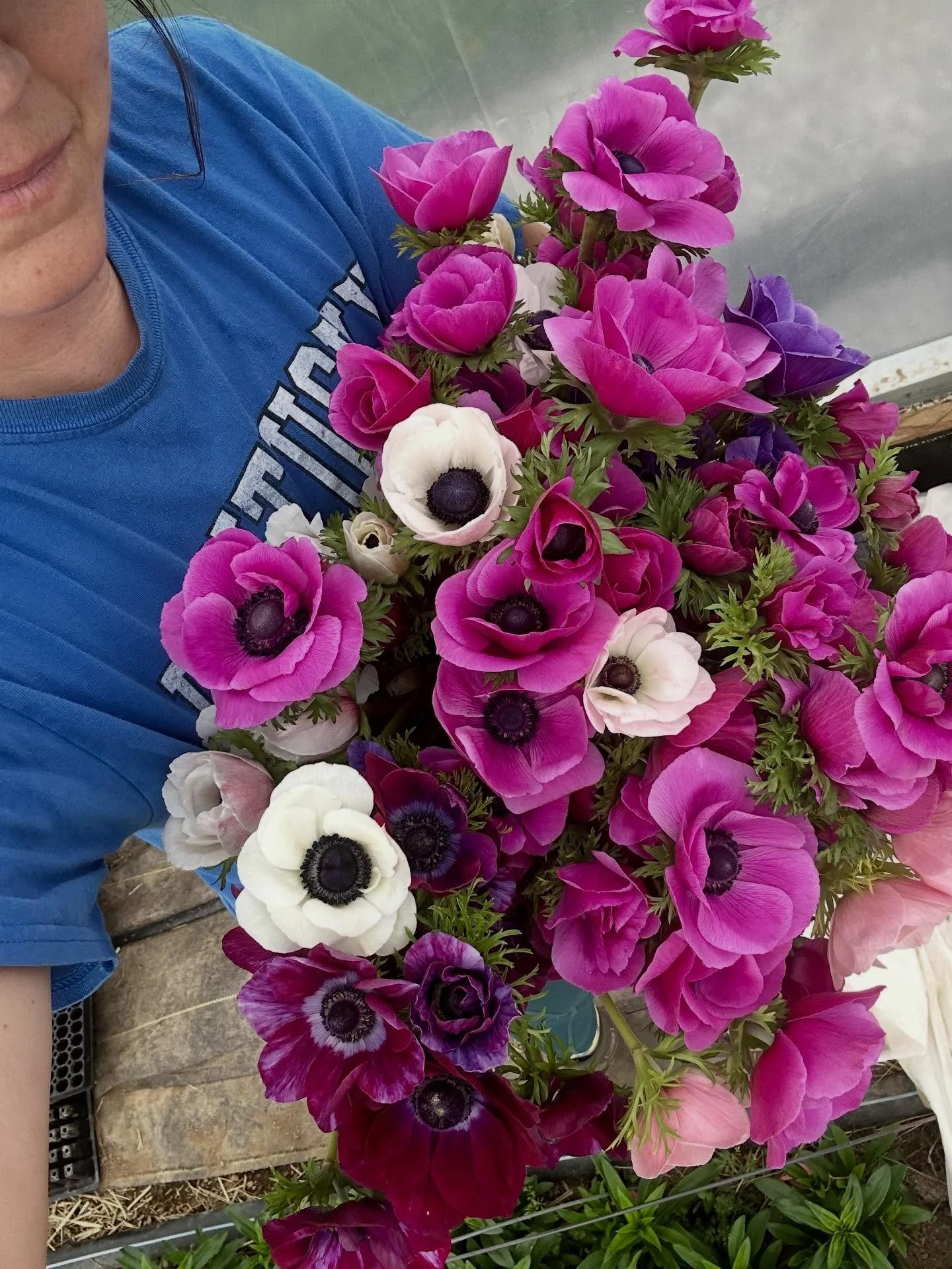 Douglass Loop, Preorders are open for Easter Weekend market bouquets. Don&rsquo;t forget, it&rsquo;s opening weekend of the regular season market. The Loop will be full or vendors with all sorts of beautiful spring goodies. 
***
Anemones- they&rsquo;