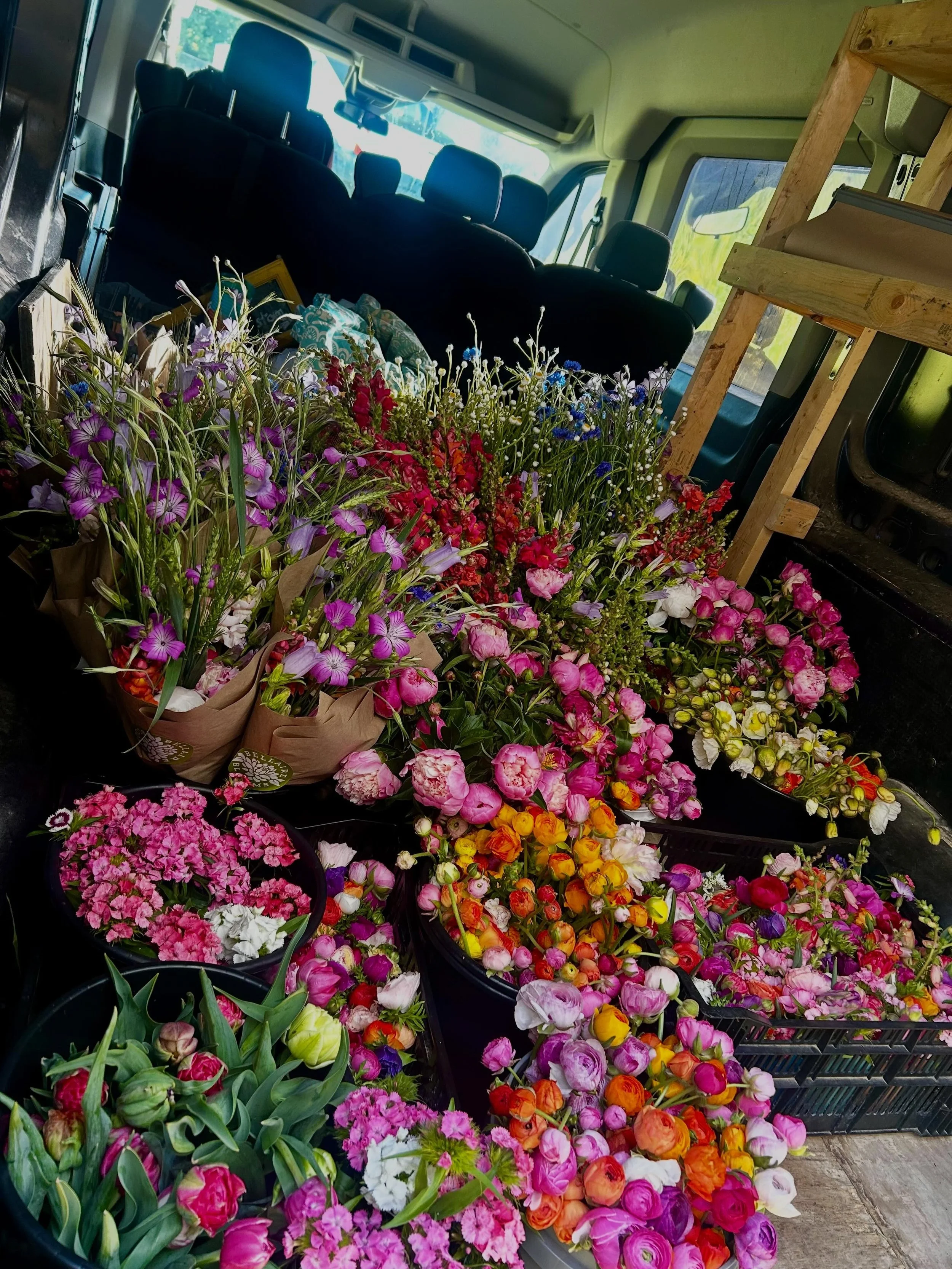 The van is packed and headed to market AGAIN. Find Susannah set up at the Lexington Southland Drive market today 10am til 2pm. Thanks for coming out to support your local farmers and vendors! 

And HEADS UP&mdash; Mother&rsquo;s Day preorders will op