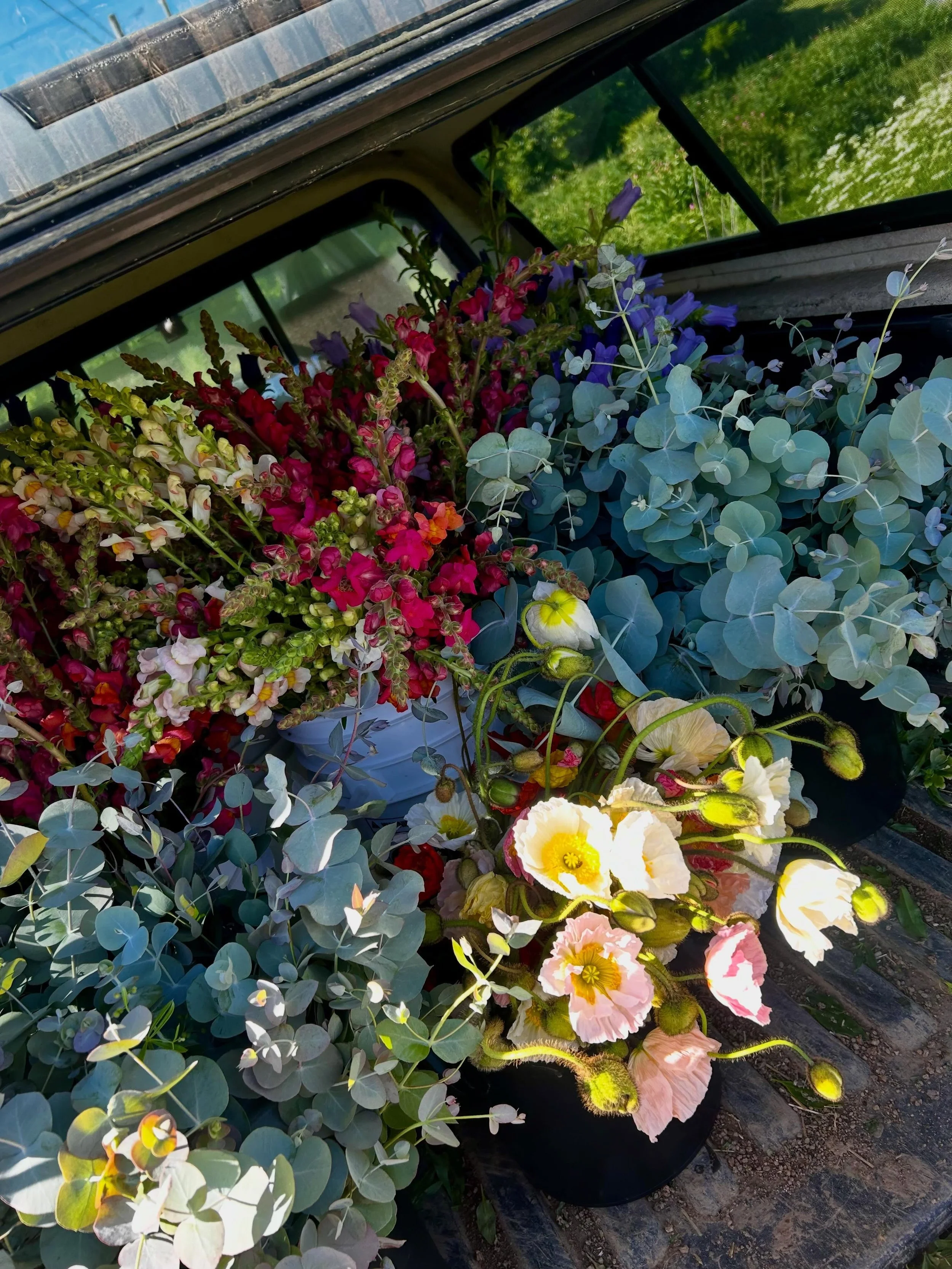 We&rsquo;ve been cutting flowers at dawn AND dusk to make sure that your mommas get some blooms on their special day. ( obviously I think that mommas should be celebrated errday!) Ern is at Southland drive Farmers Market today, 10 til 2 / or til sell