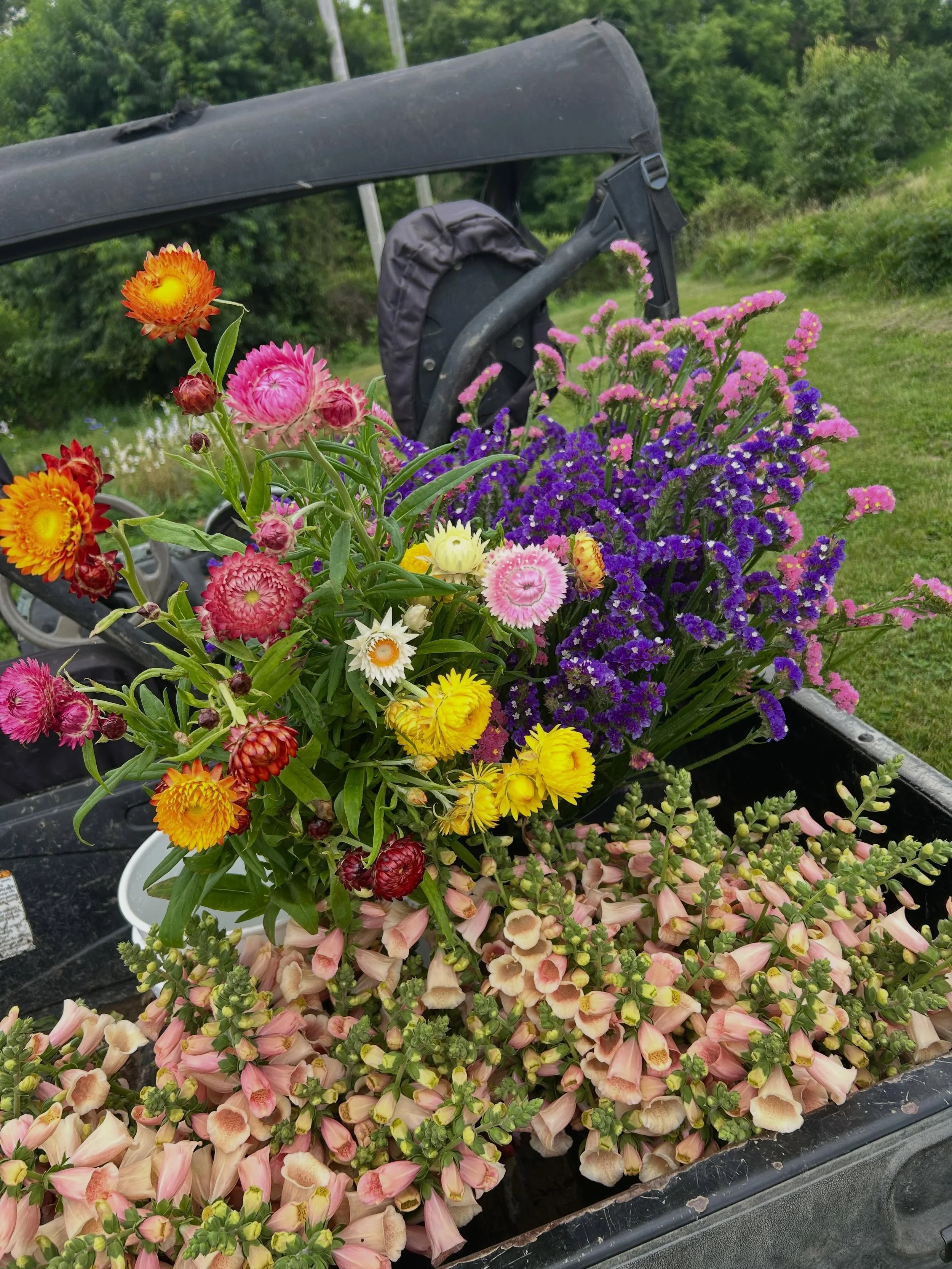 Monday morning. We harvest. We pretend we&rsquo;re not still tired from the weekend. We wait for rain all day. Planted and seeded like it was gonna rain. It drizzled the tiniest raindrops for 5 minutes. And all that water that shoulda soaked the grou