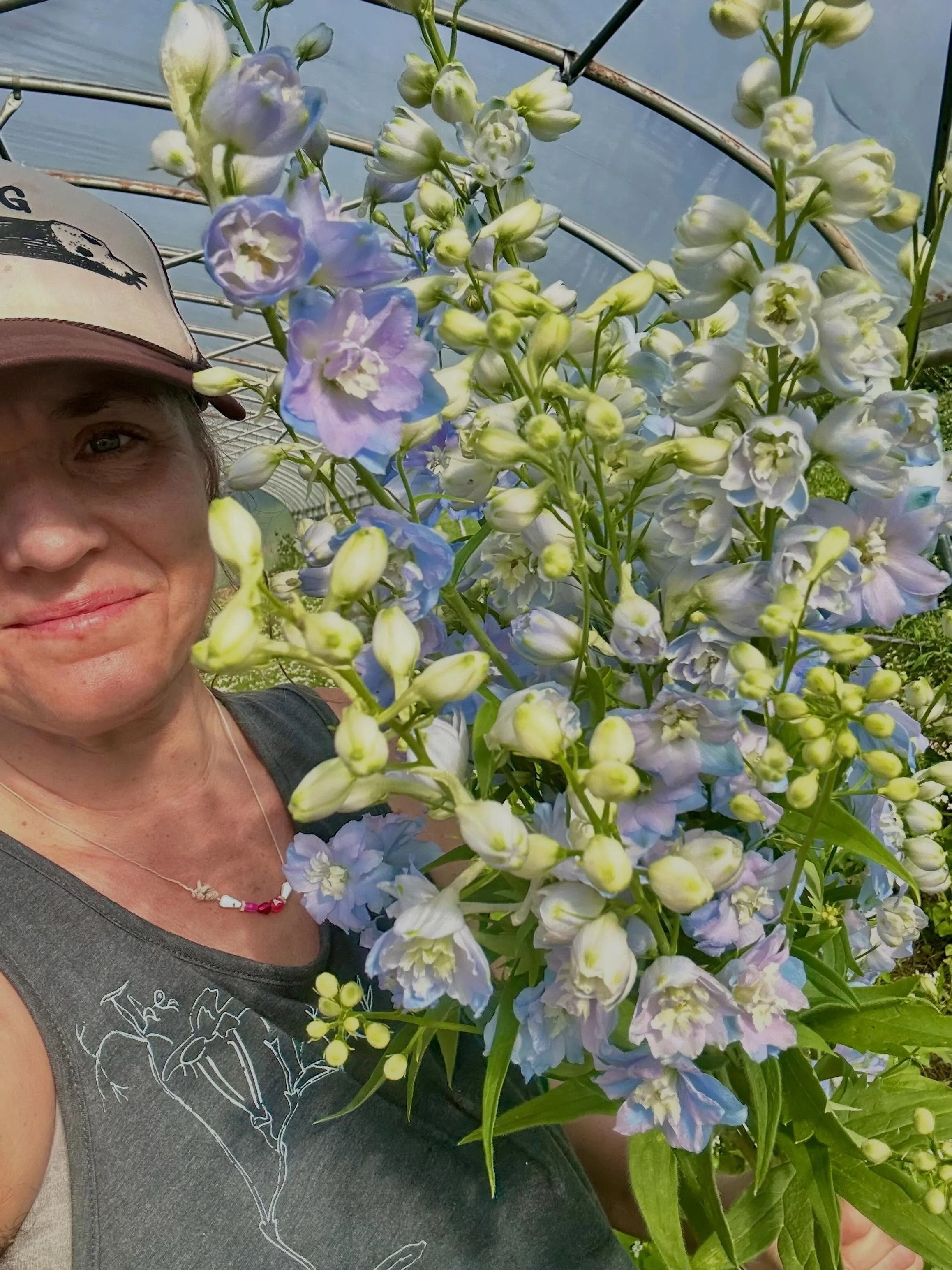 Baby blue delphinium! Y&rsquo;all love &lsquo;em! We can&rsquo;t grow enough. They&rsquo;re sold before they ever bloom. Thank you, thank you, thank you 💙💙💙

See you at Lexington and Douglass Loop markets this weekend. And maybe we&rsquo;ll have a