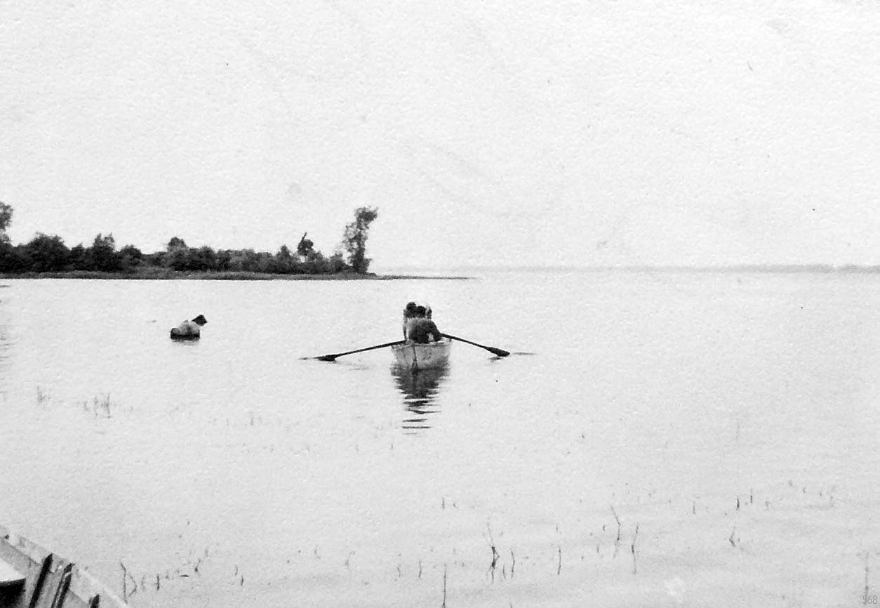 Kids at the water