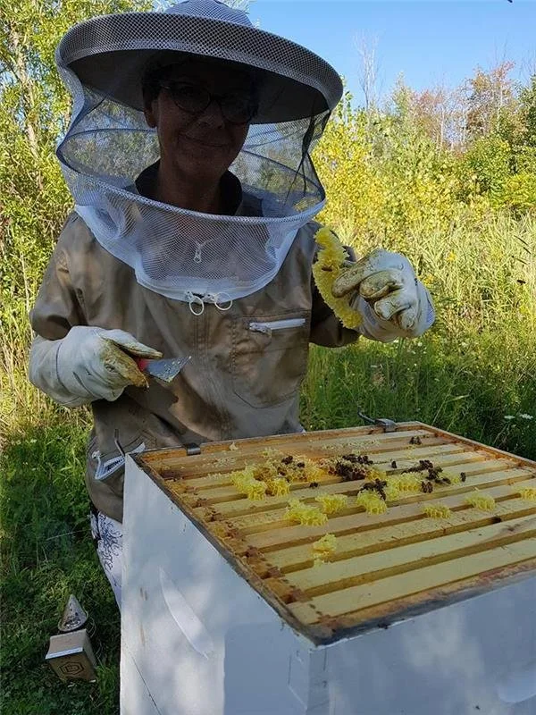 Bees are my medicine