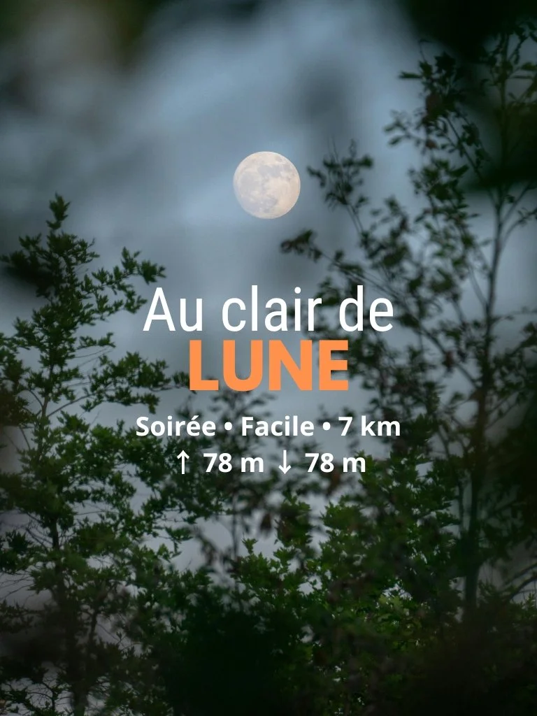 Rando-Nocturne à Saint-Péver : Au Clair de Lune