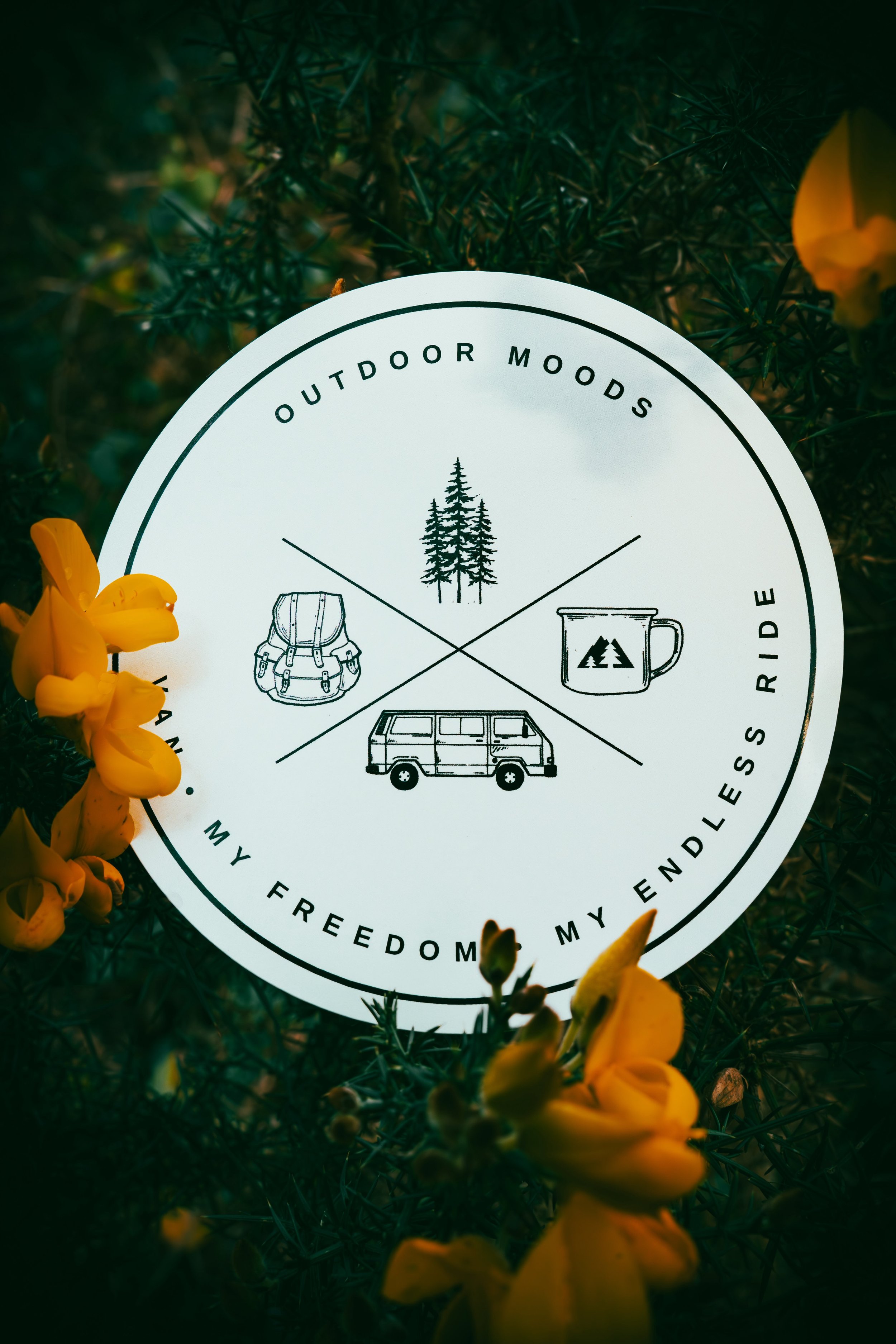 Sticker - My Van, My Freedom, My Endless ride 1.jpeg