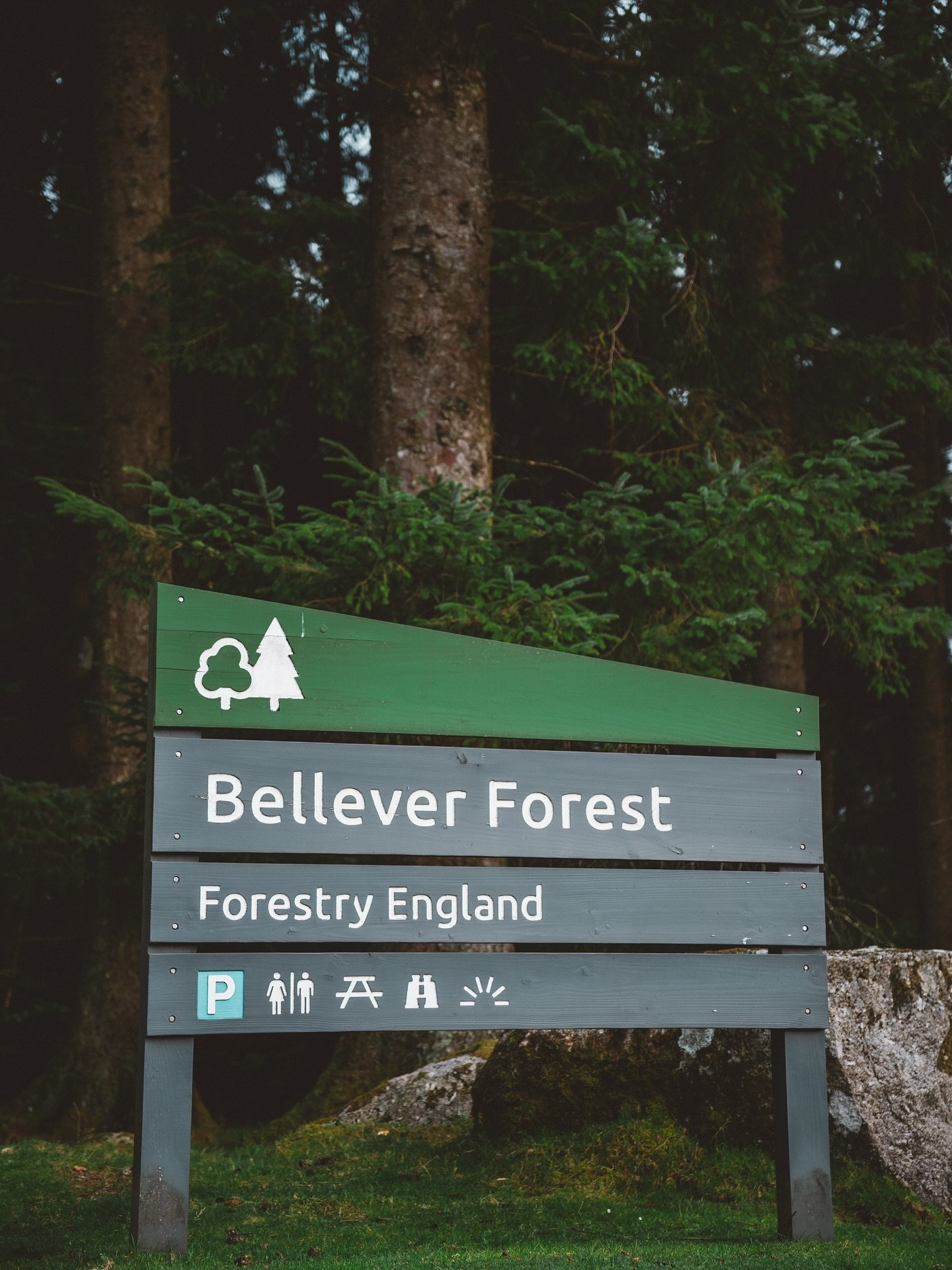 Impossible de ne pas vous en parler 🌲🥾

En plein road trip dans le Dartmoor en Angleterre, on est tomb&eacute;s sur Bellever Forest. C&rsquo;est le genre d&rsquo;endroit qui fait vraiment du bien. Pas de foule, juste la nature, des sentiers bien en