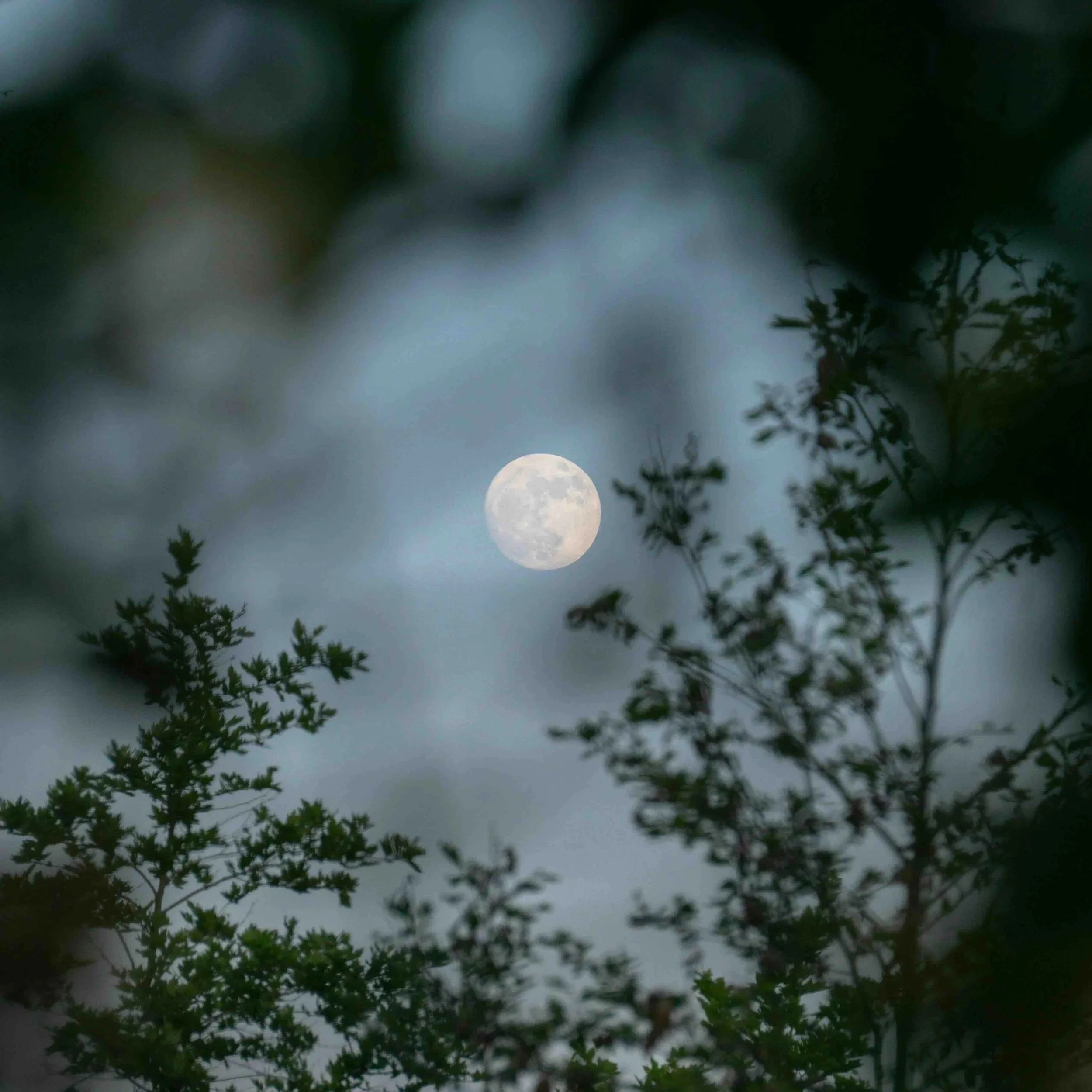 Rando-Nocturne+%C3%A0+Avaugour+Au+Clair+de+Lune+2.jpg