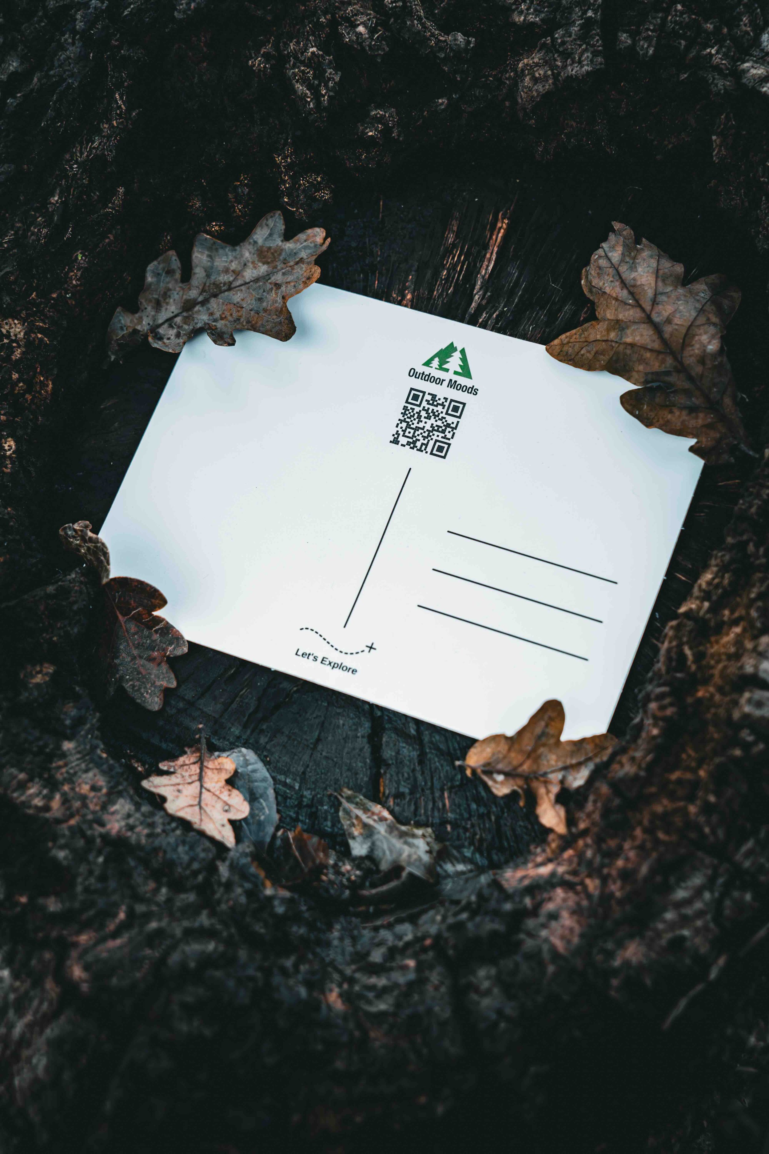 Carte postale - L'Aventure t’attend Sans Encadrement 2.jpeg
