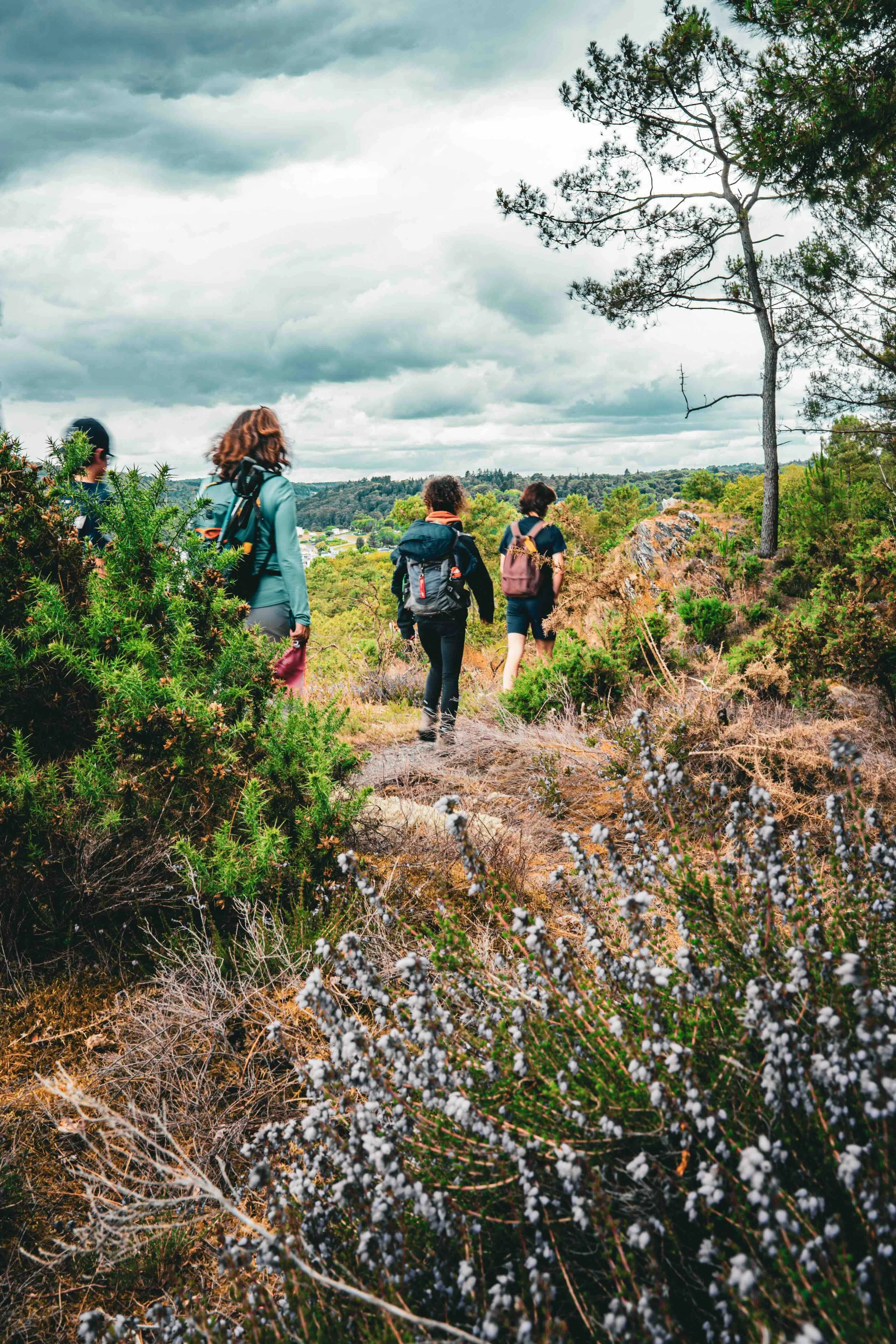 Diaporama de photos 4.jpeg